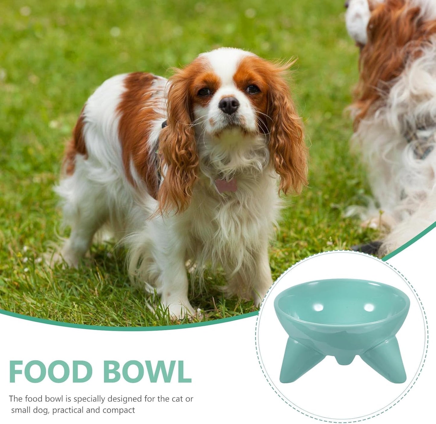 Milisten Elevated Cat Feeding Bowl Raised Pet Water Bowl Tilted Ceramic Dish Anti-Spill Design Mint Green for Cats and Dogs Indoor Use
