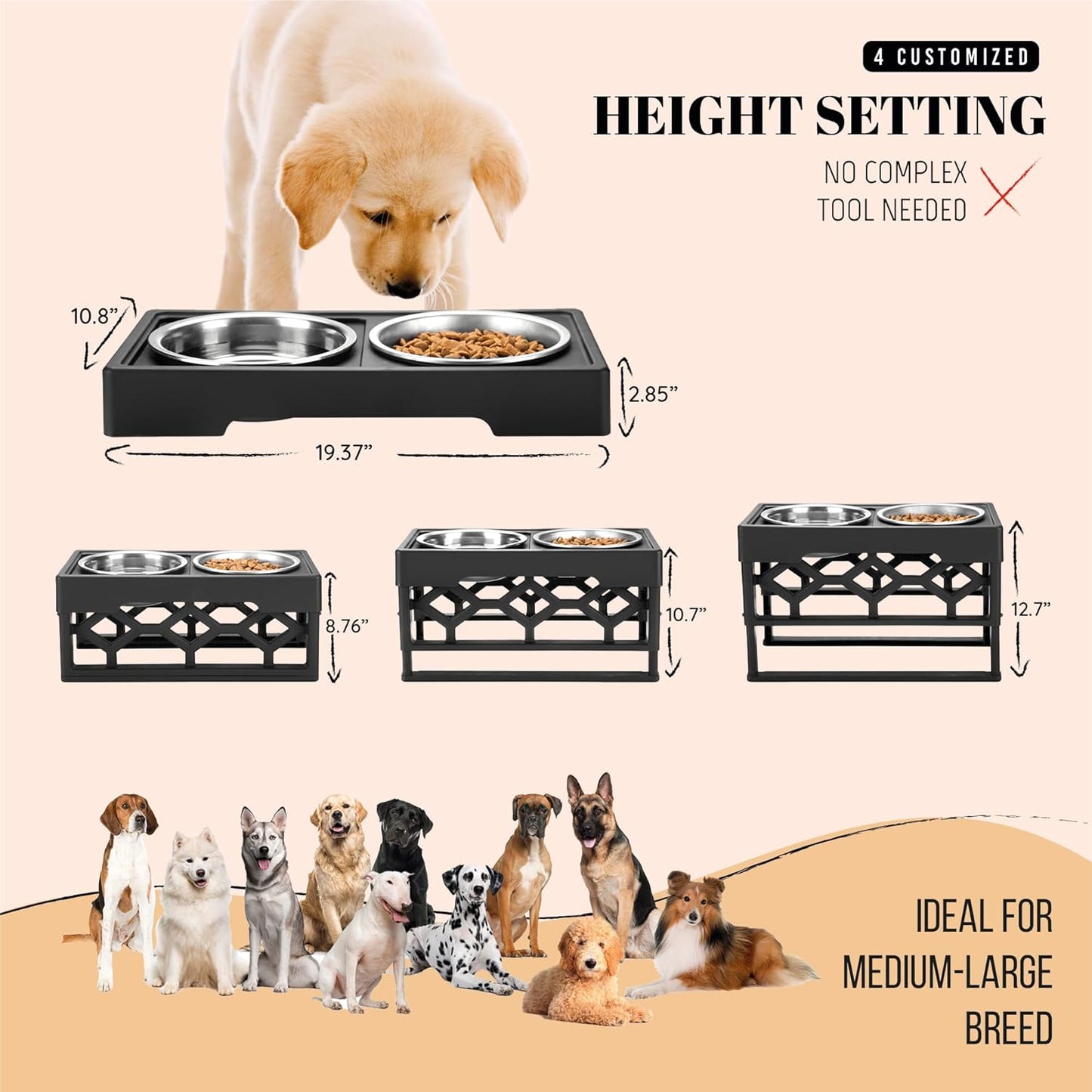 AVERYDAY Elevated Dog Bowls, 4 Height Adjustable Stand for Medium and Large Dogs, Raised Dog Feeder Holder with 2 Stainless Steel Food and Water Bowls, Anti-Slip Base Tall Feeding Station