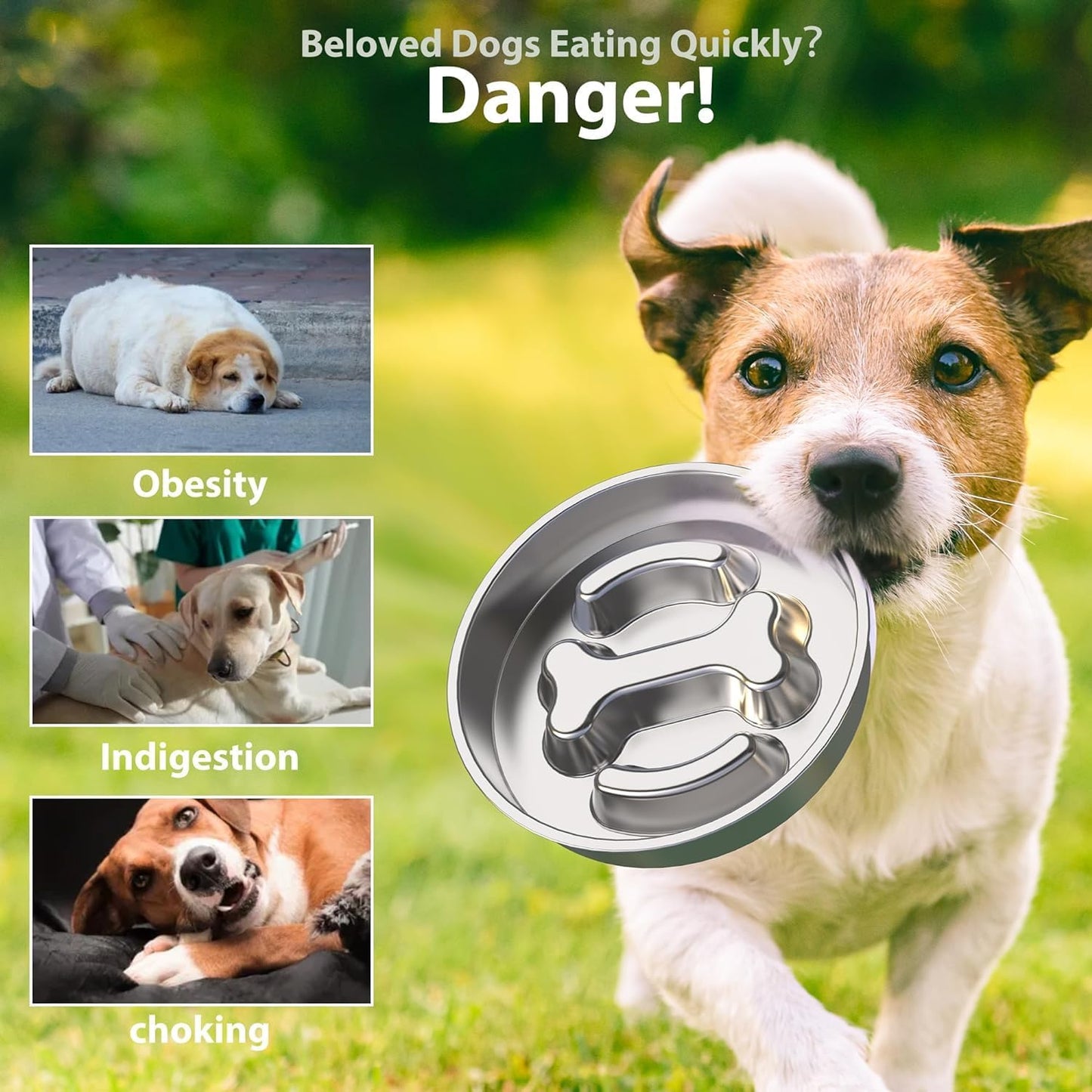 Small Dog/Puppy Slow Feeder, Stainless Steel Feeding Bowl with Unique Bone Design for Slower Eating Non-Slip Base