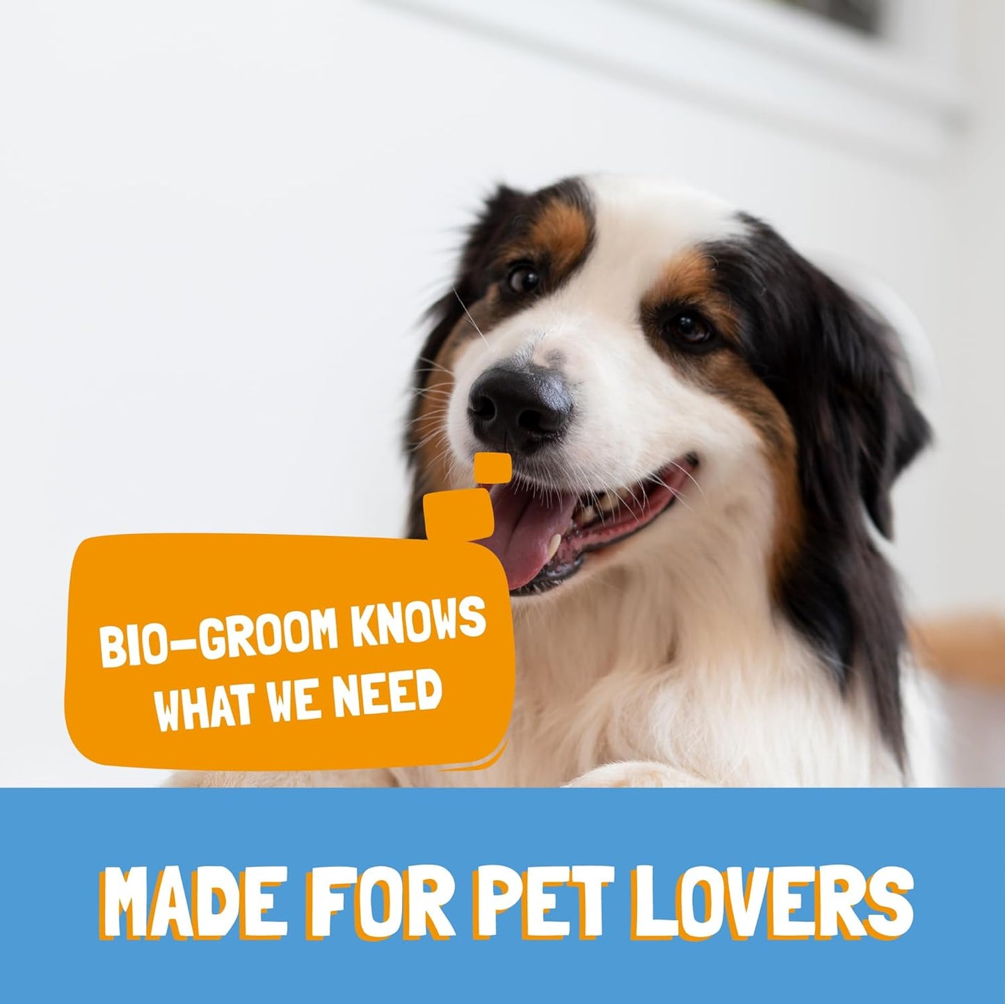 Bio-Groom Wild Honeysuckle Dog Shampoo - Natural Scent Pet Shampoo, Aloe Vera, Chamomile, Cat & Dog Bathing Supplies, Puppy Wash, Cruelty-Free, Made in USA, Quick Rinse Cat Shampoo - 12 fl oz 1-Pack