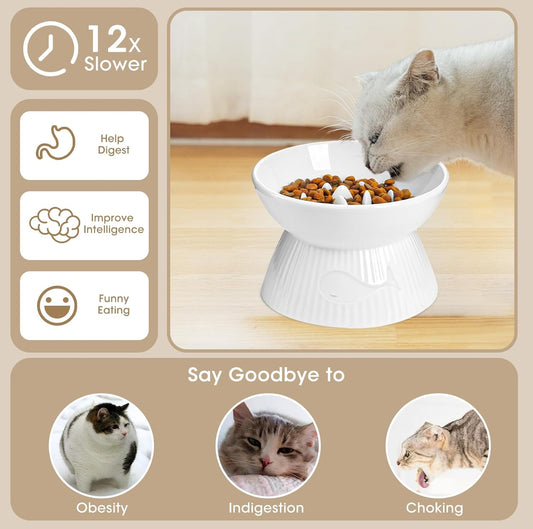 Raised Cat Slow Feeder, Ceramic Slow Feeder Cat Bowl, Upgraded Ridges to Prevent Vomiting and Indigestion, No Spill High Edge for Dry/Wet Food, Heavy and Stable, Easy to Clean Pet Bowls