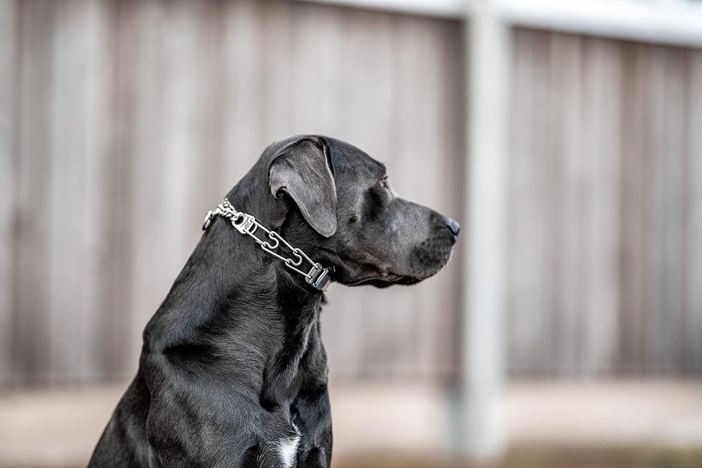 Herm Sprenger Dog Training Prong Collar with Quick Release Cliclock Buckle and Swivel Ring | Adjustable Length Stainless Steel Collar Made in Germany for Large Dogs up to 20" Neck (3.2mm Prongs)
