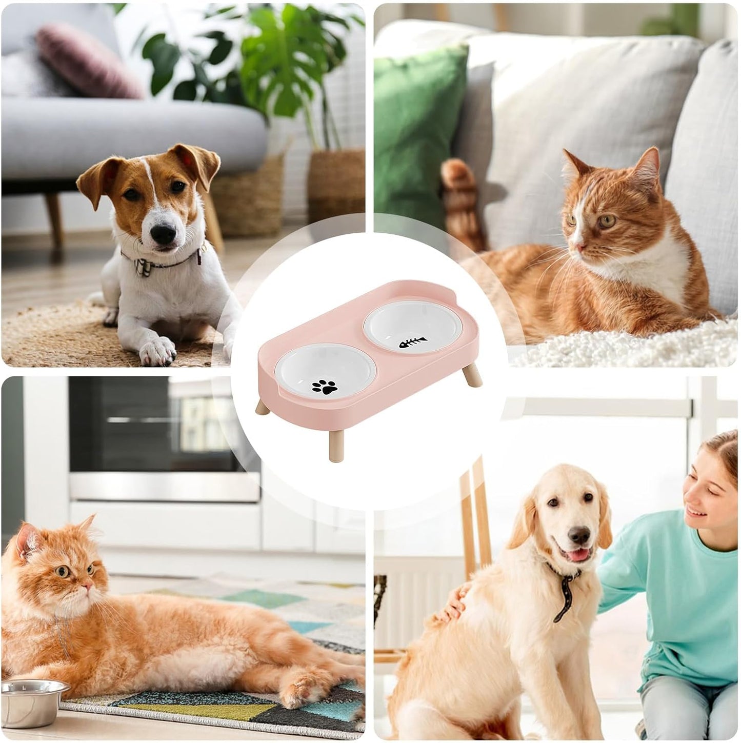 Ceramic Pet Feeder, Non-Slip Elevated Dog Bowls for Puppy Kitten with Stand, Durable Anti-Skid Ceramic Material, Indoor Outdoor Home Office Yard Patio Feeding Solution