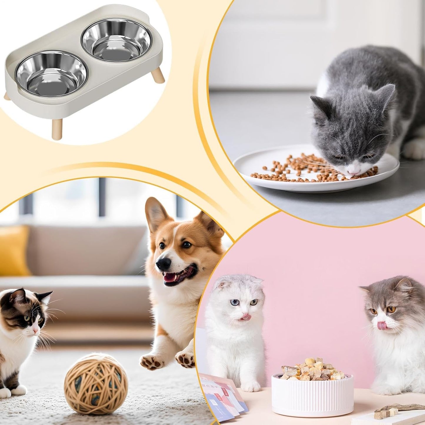 Elevated Pet Food Bowls - Stainless Steel Cat Dishes, Raised Stand with Comfortable Height, Kitten Feeding Set with Non-Slip Base, Dog Cat Dining Station, Food Bowls for Home Apartment Garden Patio