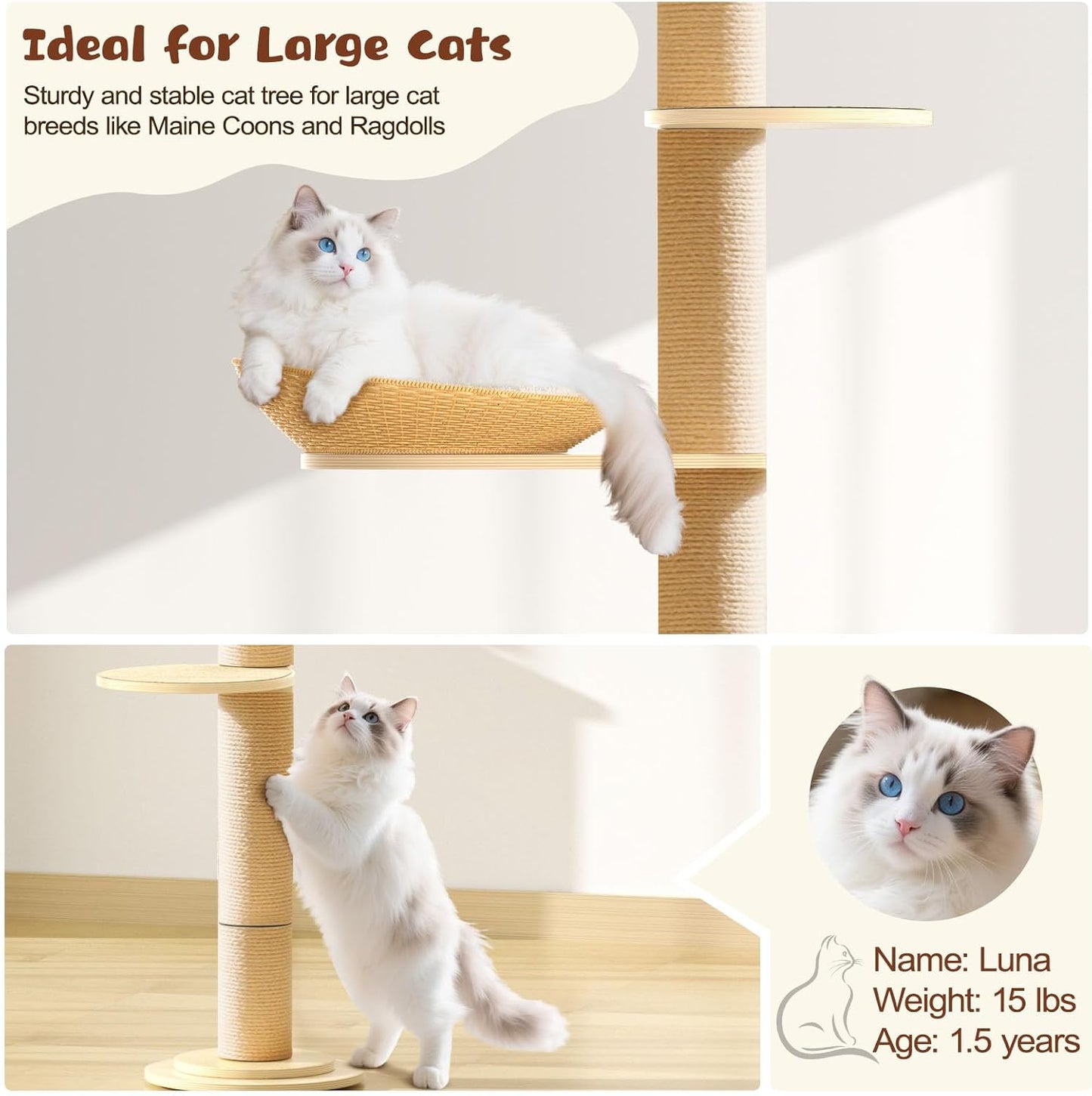 Tinnmao Solid Real Wood Floor to Ceiling Cat Tree, 6 Level Adjustable Height (89"-105"), Modern Climbing Tower with Thickened Wooden Sisal Scratching Posts & Cozy Bed for Indoor Cats Large Adult