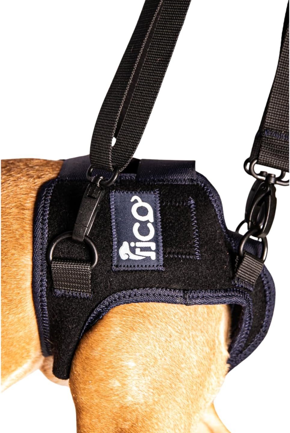 Dog Hip Dysplasia Brace, Adjustable Rear Hip Support for Dogs for Pain Relief, Leg Weakness & Arthritis, Vet Recommended, Targeted Compression, Comfortable Neoprene Harness (X Small)