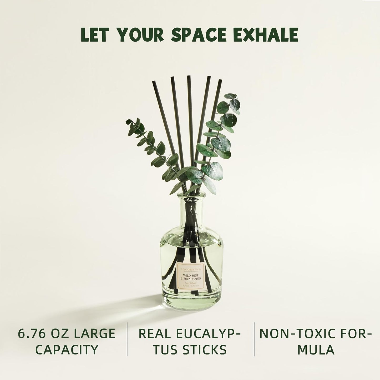 COCORRÍNA Eucalyptus & Wild Mint Reed Diffuser – 6.76 oz Essential Oil with 8 Reeds & Real Eucalyptus Sticks, Home Fragrance for Bedroom or Bathroom Décor