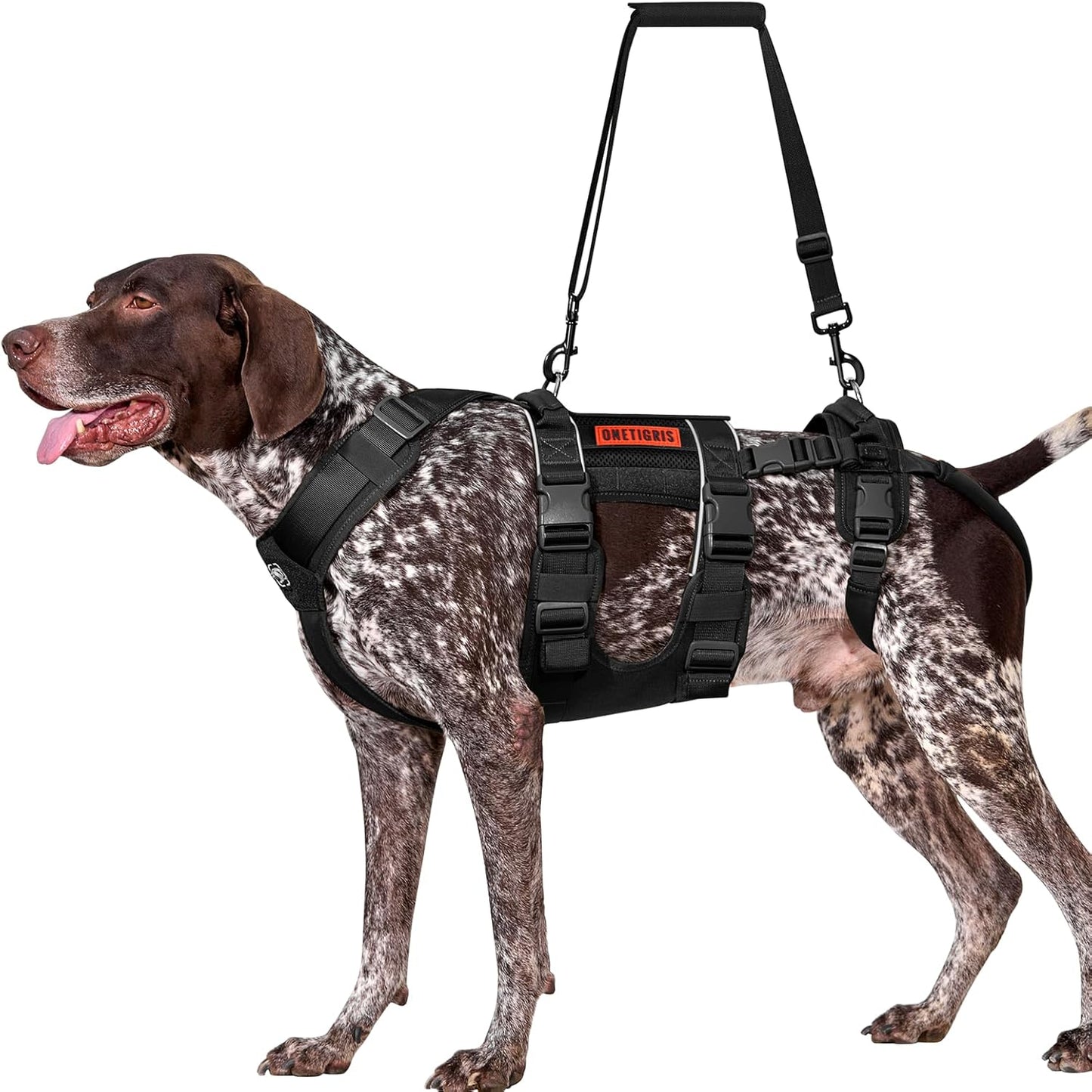 OneTigris Breathable Dog Lift Harness for Large Medium Sized Dogs, Dog Sing for Large Dogs Hind Leg Support, Dog Hip Support Brace Front Leg Vrace