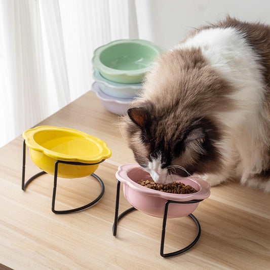 Elevated Ceramic Cats Dish Feeder Bowl with Iron Stand for Kittens Dog Health Eating Home Decors Feeding Watering Supply Elevated Cats Food Water Bowl