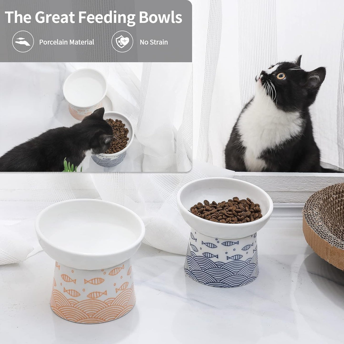 TAMAYKIM Tilted Ceramic Elevated Cat Bowls, Food and Water Raised Bowl Set for Kitty Cats and Small Dogs, Porcelain Elevated Stress Free Feeding Pet Bowl Dish, Set of 2
