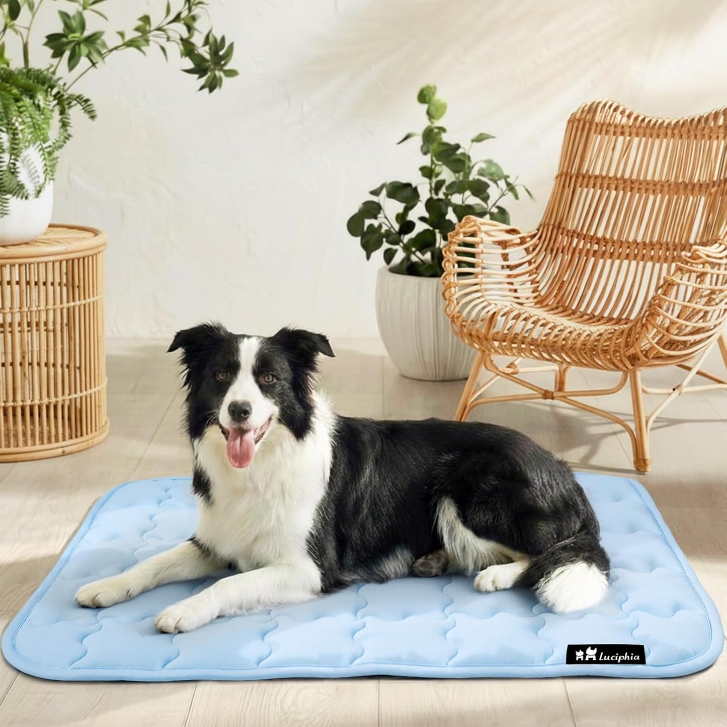 Luciphia Premium Dog Cooling Mat Non-Slip Q-MAX>0.5 Self-Cooling Pad for Large Pet Indoor Portable Kennel Puppy Bed for Couch Summer Crate Pad for Dog Washable Light Blue 40x60 inches
