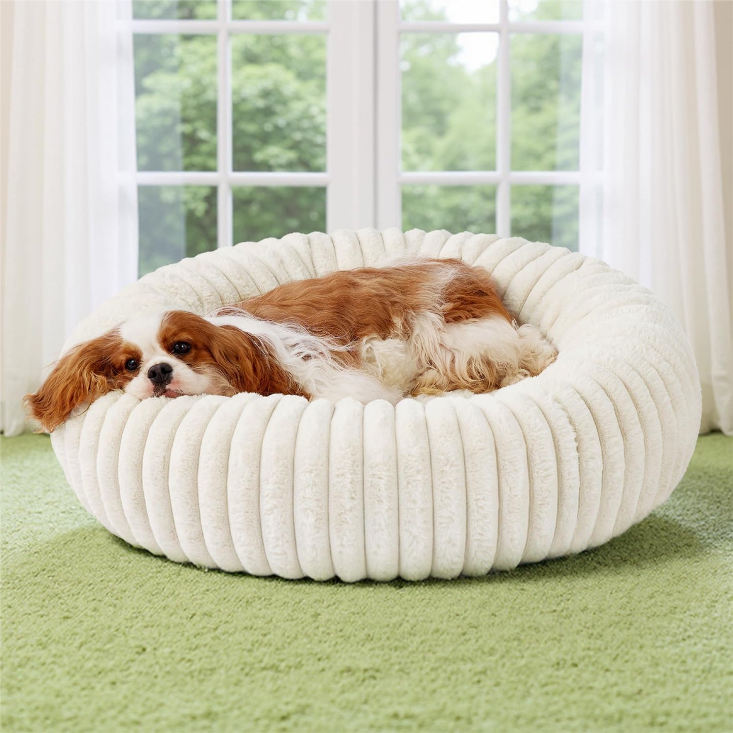 Bedsure ComfyFleece™ Donut Medium Dog Bed - Washable Faux Fur with Corduroy Fleece & Anti Slip Bottom, Round Pet Bed with Removable Cover, Cream, 30x30x8 inches