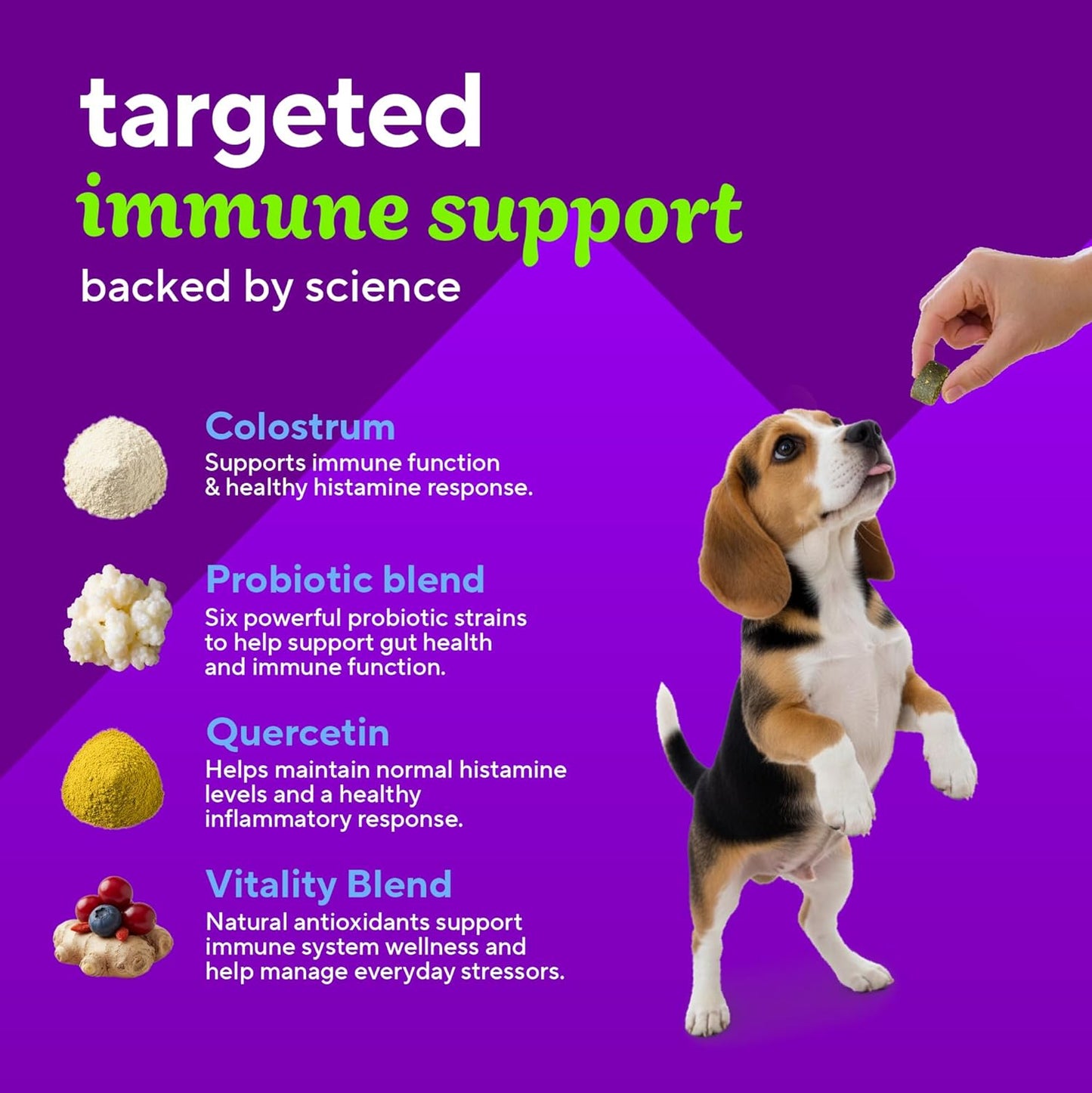 VitaFusion Probiotics for Dogs, Gut & Digestive Health Support with Colostrum & Quercetin, Immune & Seasonal Allergy Support, Superfood Vitality Blend, Beef Flavor120 Soft Chews.