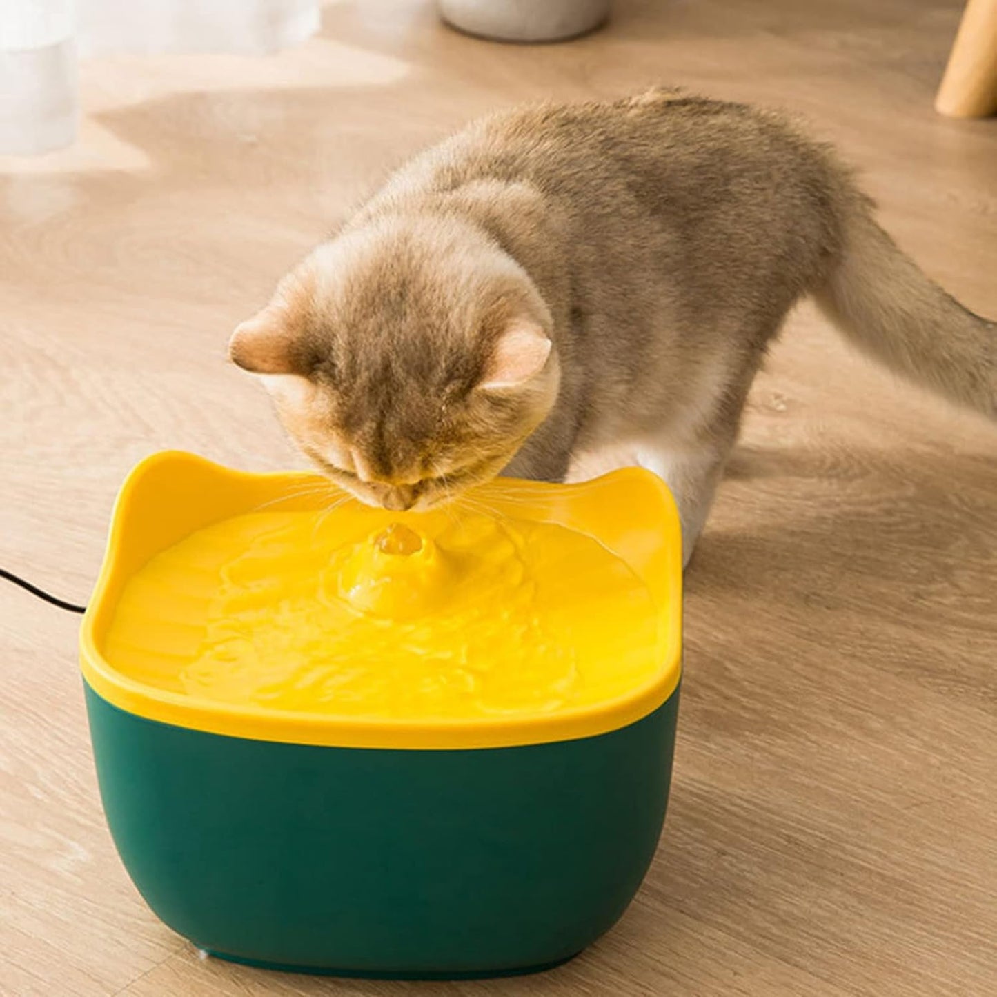 Cat Water Fountain, 84oz/2.5L Ultra Quiet Pet Water Fountain with Filtration, Dog Automatic Drinking Fountain Dog Water Bowl Dispenser Drinking Water,Green