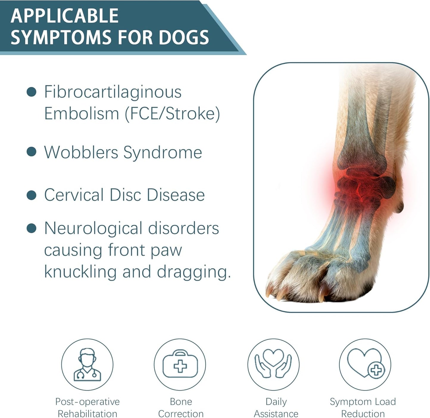 Dog Knuckling Brace, Dog Toe Grips for Wrist Arthritis, Wrist Dislocation, Front Legs, M
