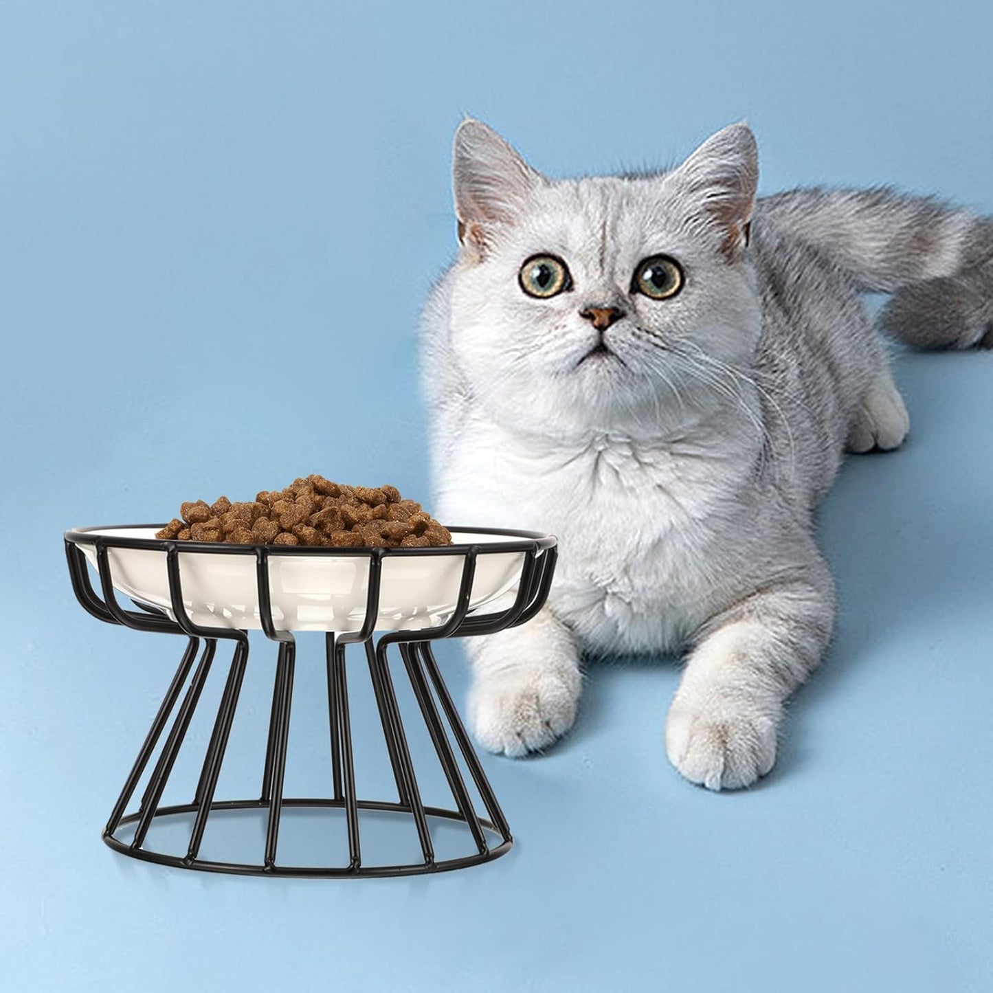 FAVOMOTO Ceramic Elevated Cat Food Bowl with High Base and Black Iron Stand, Whisker-Friendly Raised Pet Feeder for Cats and Kittens, Anti-tip Non-Slip Design for Indoor Feeding