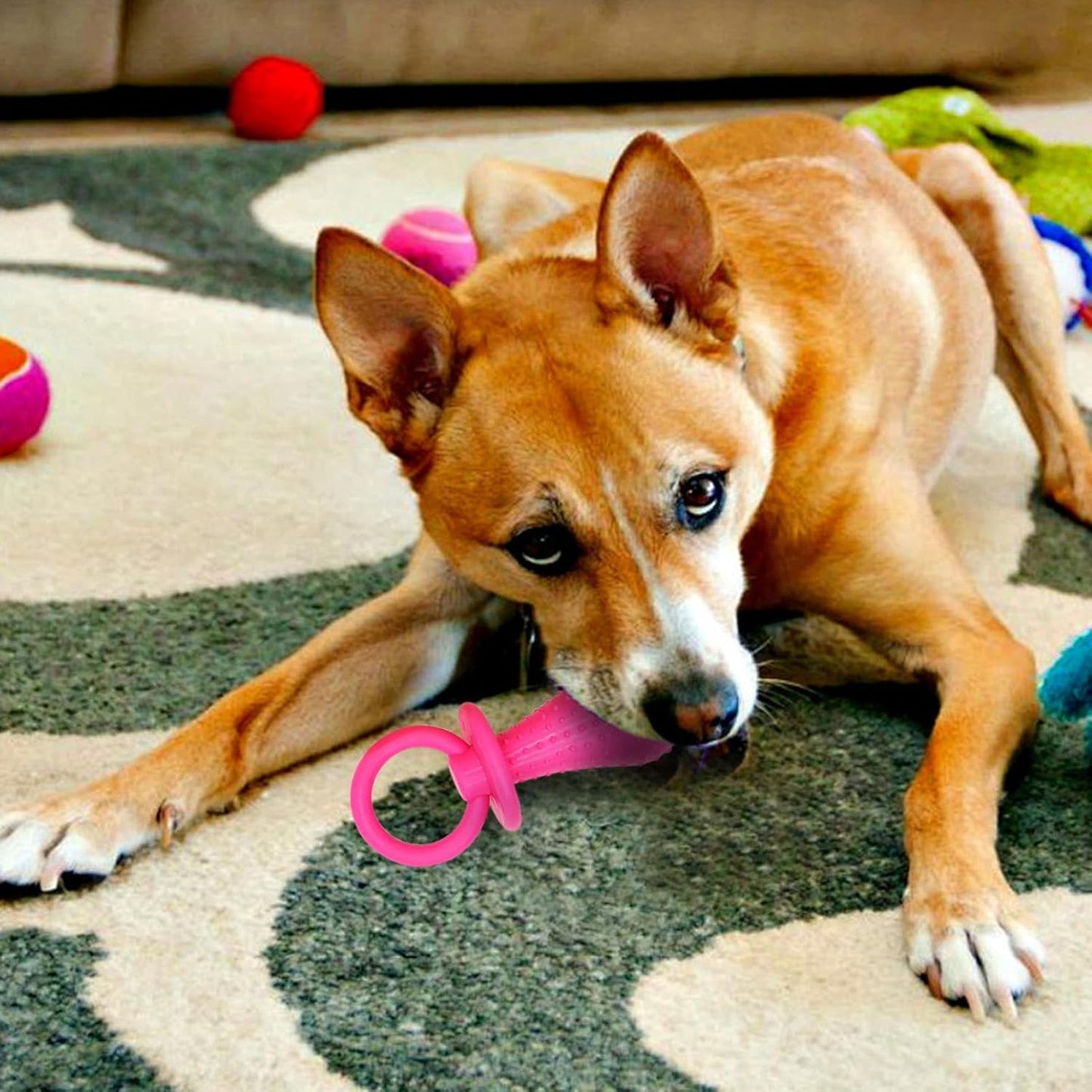 Dog Nipple Toy - Puppy Teething Imitation Breastfeeding Nipple, Responsive Safe Pet Molar Play Chew, Interactive Calming Teether for Travel Apartment Park Home Dorm Use 3.74x1.5 Inches