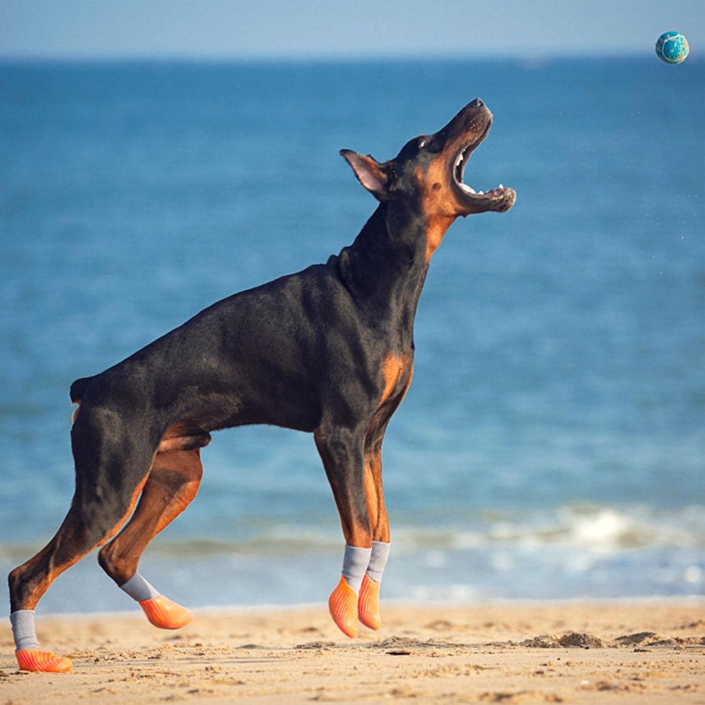 Waterproof Dog Shoes - Non-Slip Elastic Dog Shoe Skin-Friendly | Supplies Pet Shoes for Small Medium Dogs Cats Outdoor Sports Days