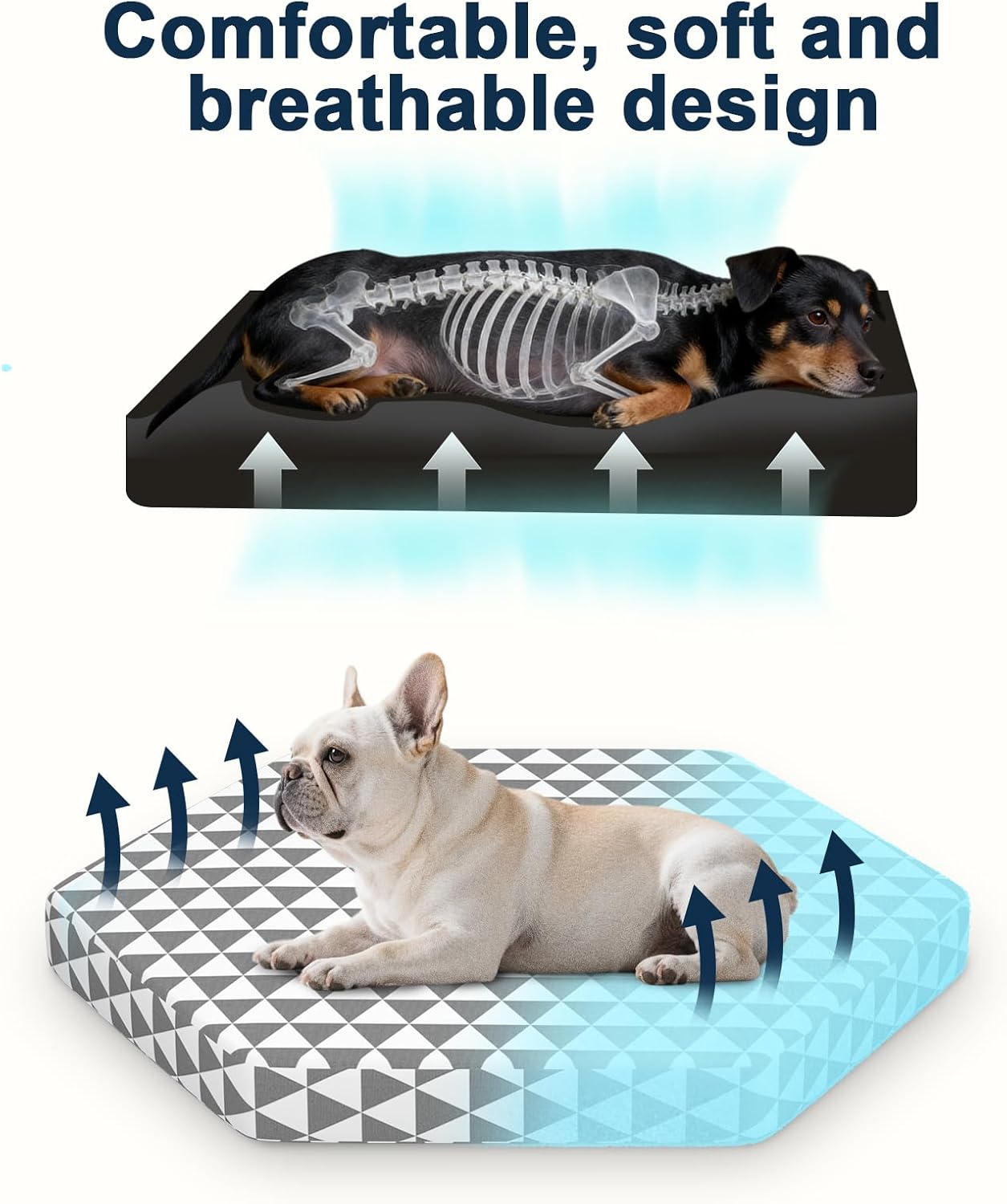 Orthopedic Dog Beds for Small Dogs, Pet Bed with 6 Sides,Removable & cleanable Cover，S