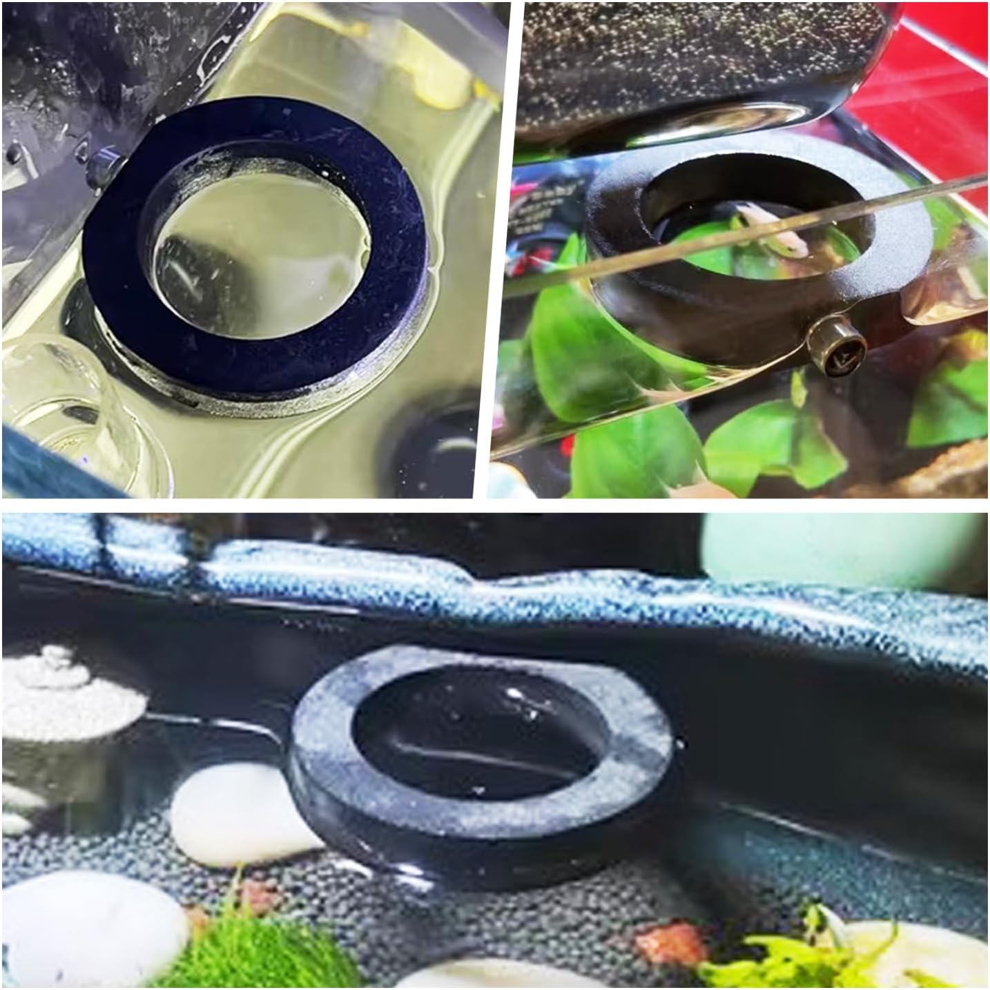 La La Pet®2PCS Magnetic Sponge Fish Feeding Ring Floating Food Feeder for Fish Tank Aquarium Feeding Accessories for Betta Guppy Tropical Fish Small Fish