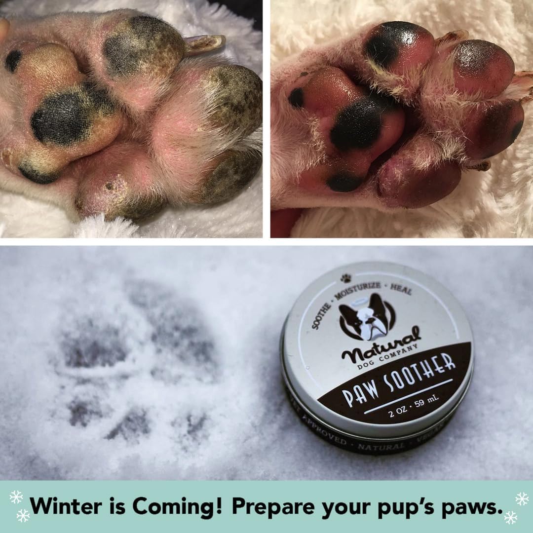 Natural Dog Company Paw Soother Balm & Wax - Dog Paw Balm & Moisturizer for Dry, Cracked Paw Pads, Helps Moisturize & Condition Winter-Worn Paws, Coconut Oil & Calendula, Daily Paw Care, 0.15 oz Stick