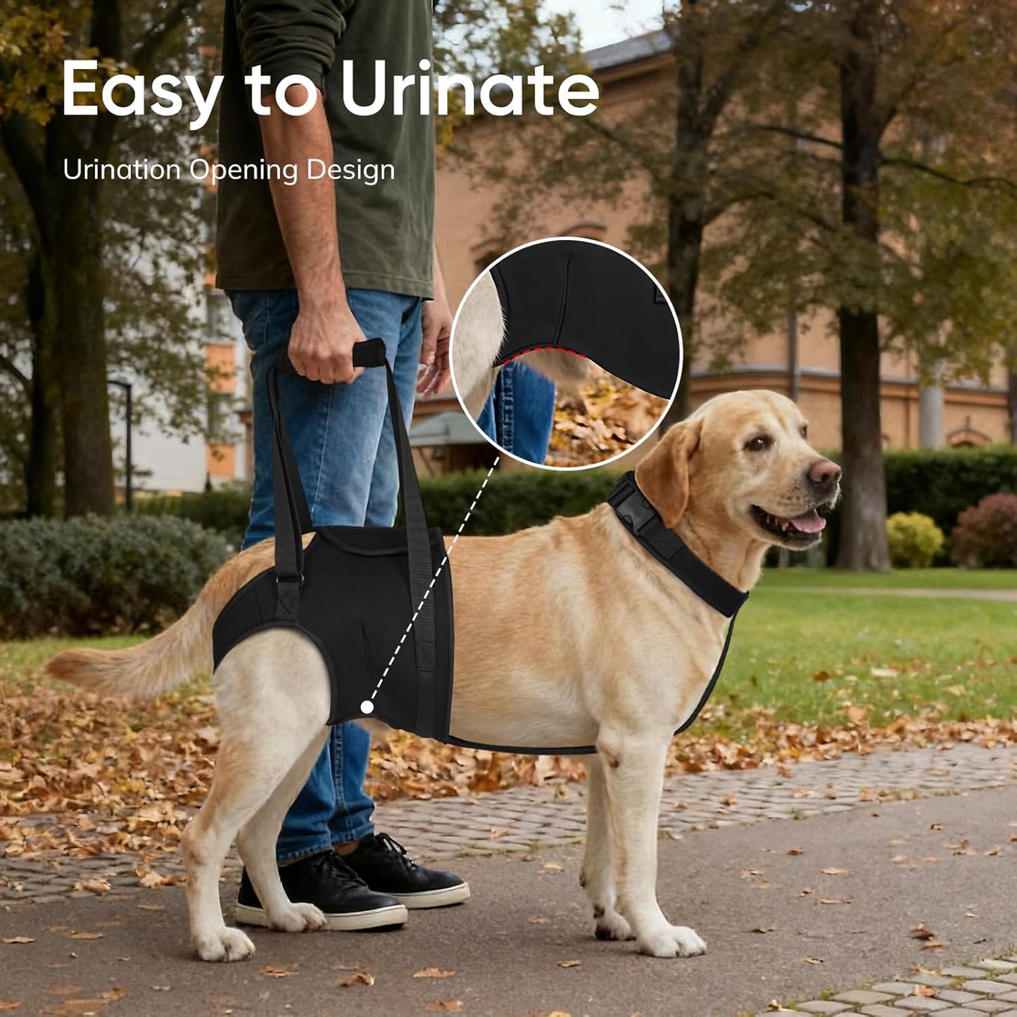 Supet Dog Sling for Large Dogs Hind Leg Support, Senior Dogs Lift Assist Harness for Weak Back Leg Support, Help Large Breed Rear Leg Up Harness, Mobility Aids for Elderly, Injured, Paralyzed Dog, M