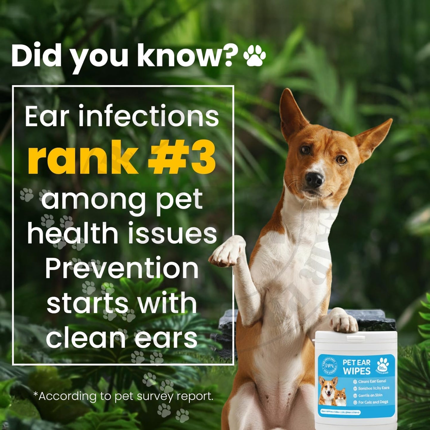 Kashmir FPN Dog Ear Wipes 50 Ct – Gentle Cleaning Wipes for Dogs, with Rosemary Extract Soft, Disposable, Non-Irritating Formula for Routine Ear Hygiene