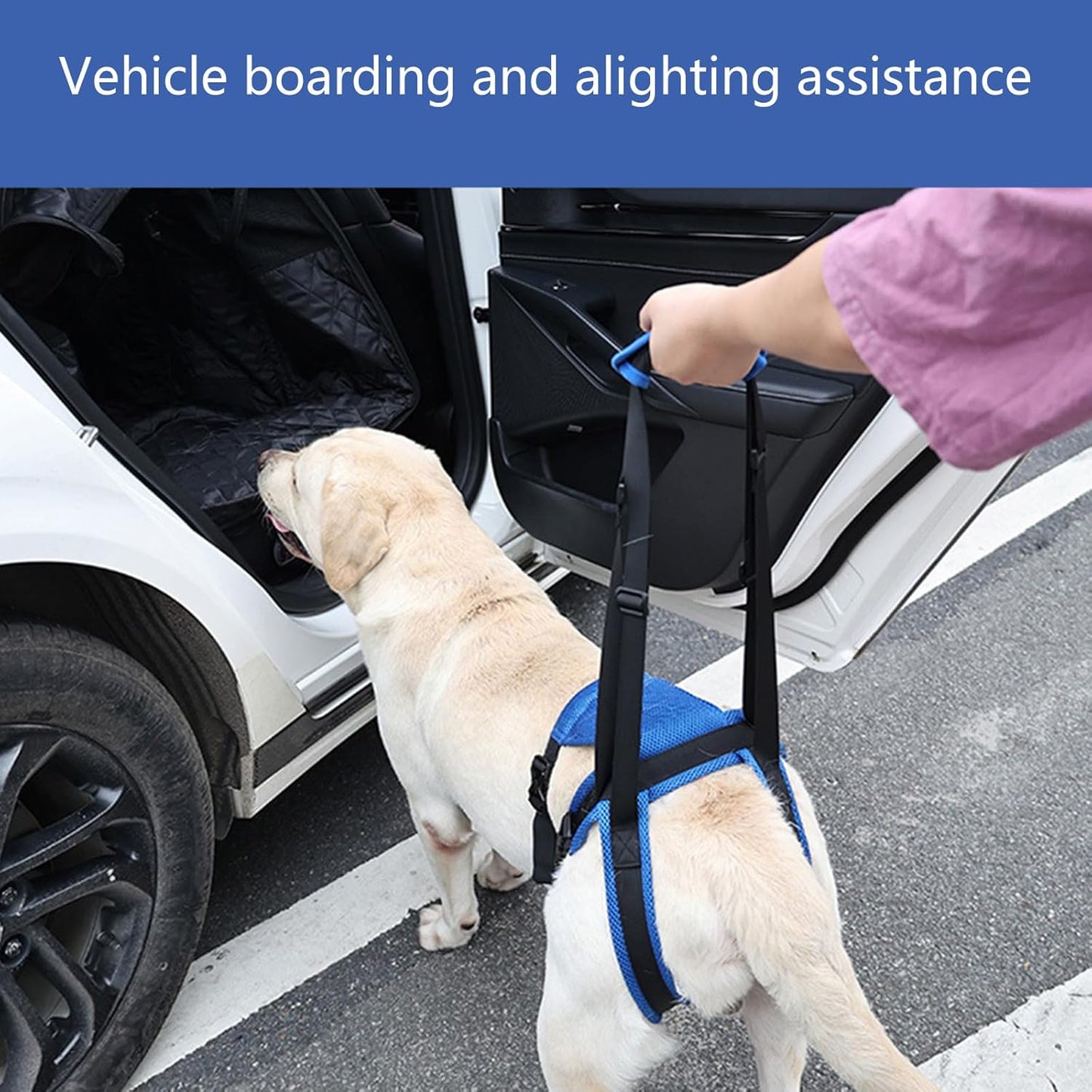 Pet Rear Leg Assistance Strap with Upgraded Design Adjustable Belt for Joint Pressure Relief and Easy Movements Adjustable Dog Rear Harness Dog Assist Harness