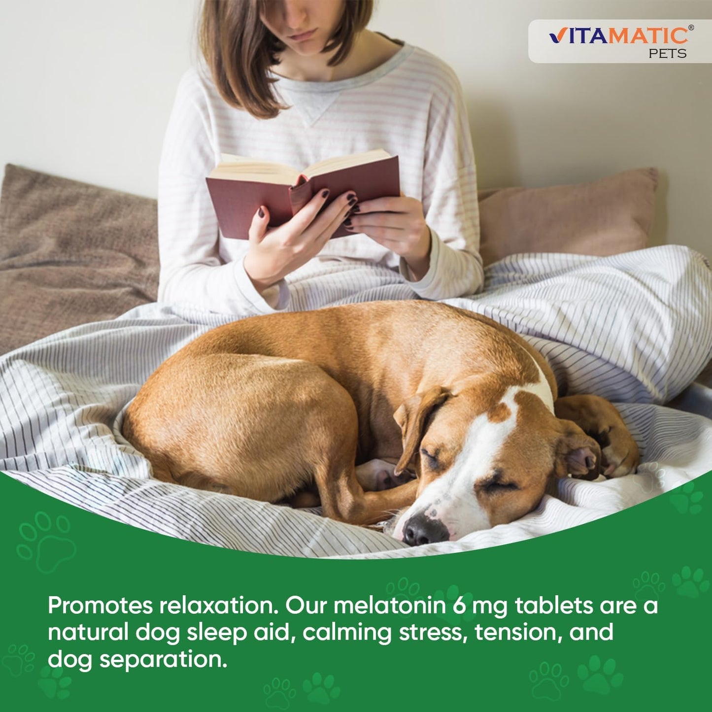Vitamatic Melatonin for Dogs – 6 mg – 120 Chewable Tablets (Pack of 3) Beef Flavored – Natural Calming Aid for Dogs – Non-Habit Forming – Stress & Sleep Support