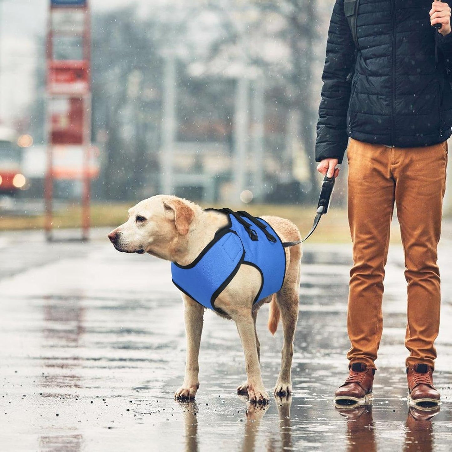 Dog Lift Harness, Puppy Mobility Support, Dog Walking Harness, Stair Assistance Dog Lift Support, Pet Front Leg Lift, Adjustable Dog Lift for Helping Your Puppy Walk Stand, Go up and Down Stairs