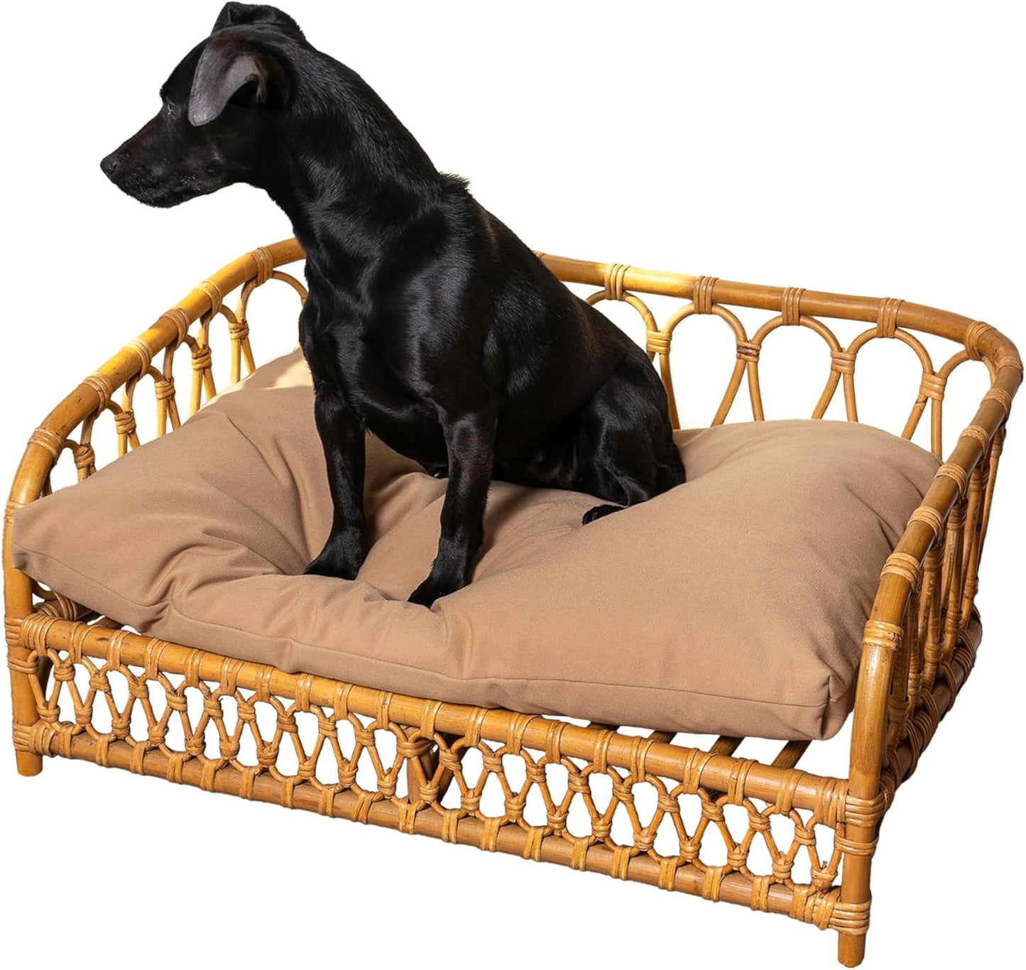DBD1005A Elevated 27.5" x 17" Bohemian Handwoven Rattan Dog Daybed with Machine-Washable Cushion, Natural
