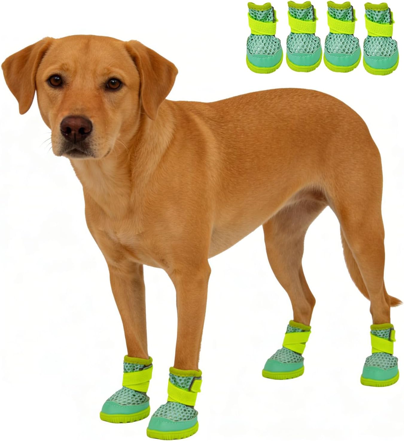 Anti Slip Dog Shoes Paw Protectors for Hardwood Floors,Breathable Puppy Boots with Adjustable Straps for Hot Pavement Beach_3#(Green)