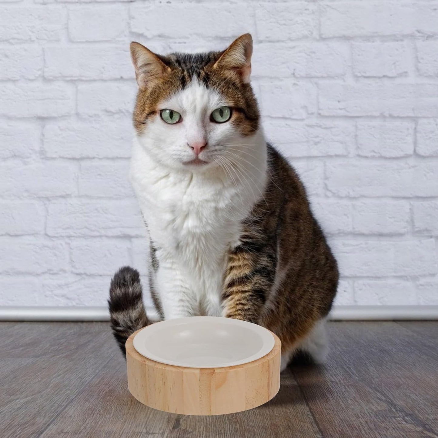 Milisten Elevated Ceramic Kitten Bowl with Wooden Stand, Raised Cat Food Dish for Spine Protection, Anti-tip Pet Feeder for Indoor Cats and Kittens