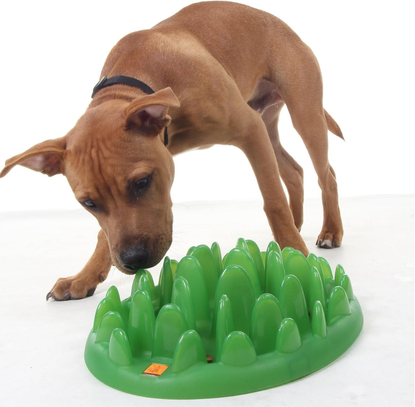 Company of Animals GREEN Slow Interactive Feeder for Dogs, Size Large, Best Fun Slow Feeder Dog Bowl, Anti-Gulp, Gobble Stopper, Mental Stimulation Dog Puzzle, Suitable for Small, Medium & Large Dogs