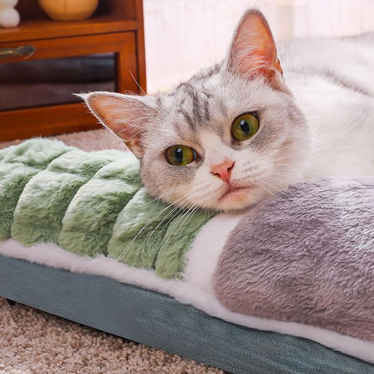 Cat Cushion - Back Support Machine Washable, Indoor Dog Cat Plush Pad, Travel Shelter Backyard Balcony RV Kennel, Sofa Floor Small Medium Large Breeds
