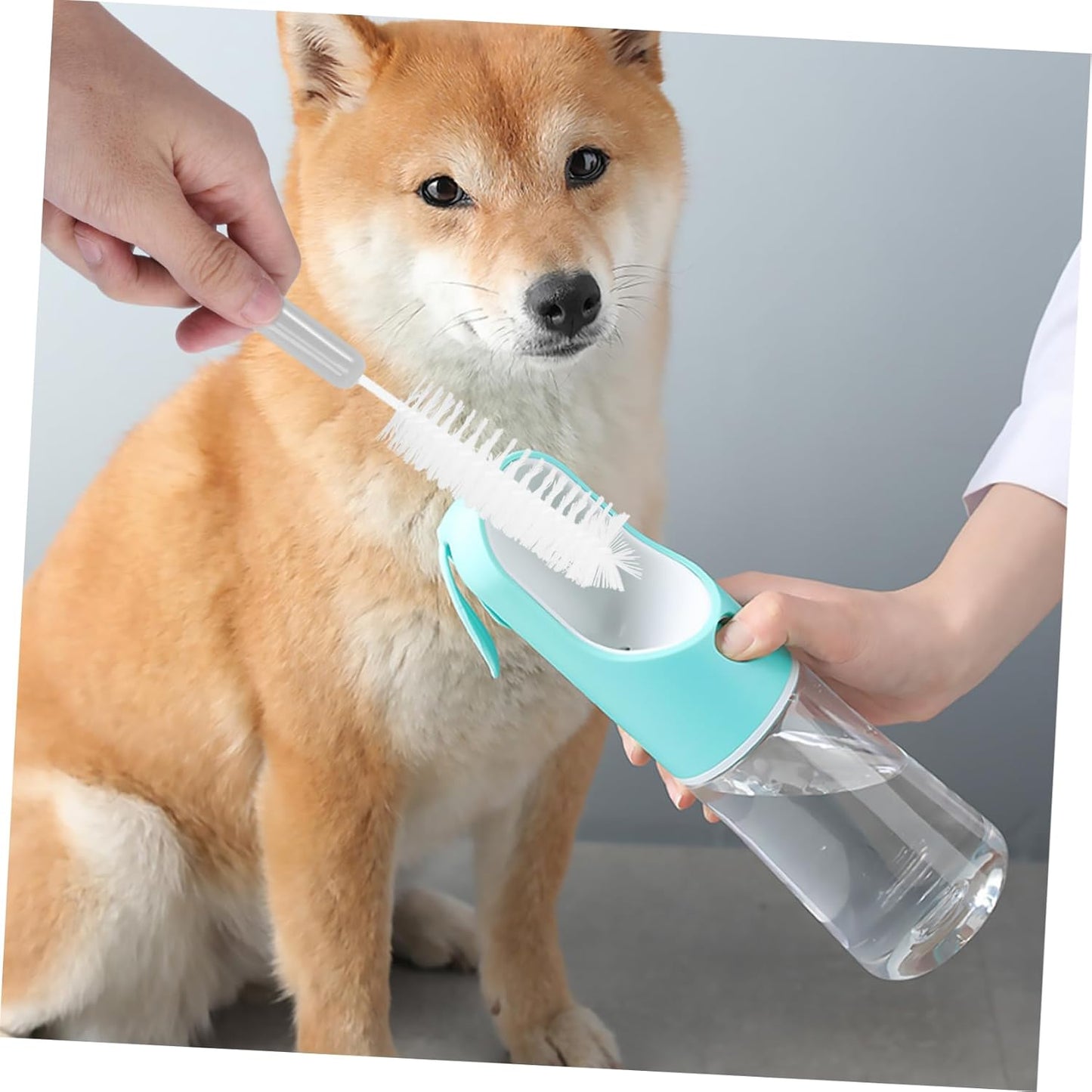 ERINGOGO 1Set Pet Feeder Water Fountain Cleaning Set Tools with Long Handle Brushes for Efficient Daily Care for Dog Cat Owners Gray