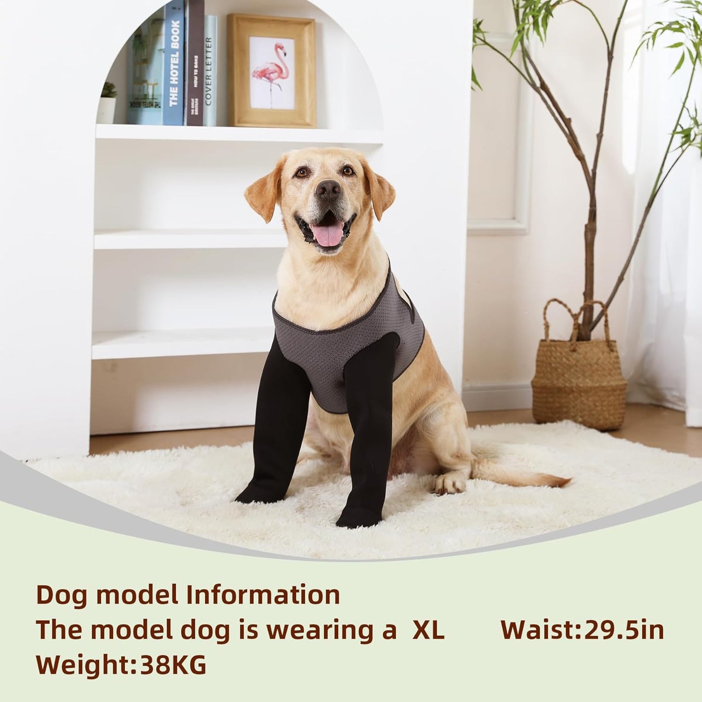 Dog Socks to Prevent Licking Paws ，Breathable Leg Sleeve to Stop Licking and Biting,Firm and Secure Protect Wounds Dog Recovery Sleeve Socks (2XLarge-Gray)