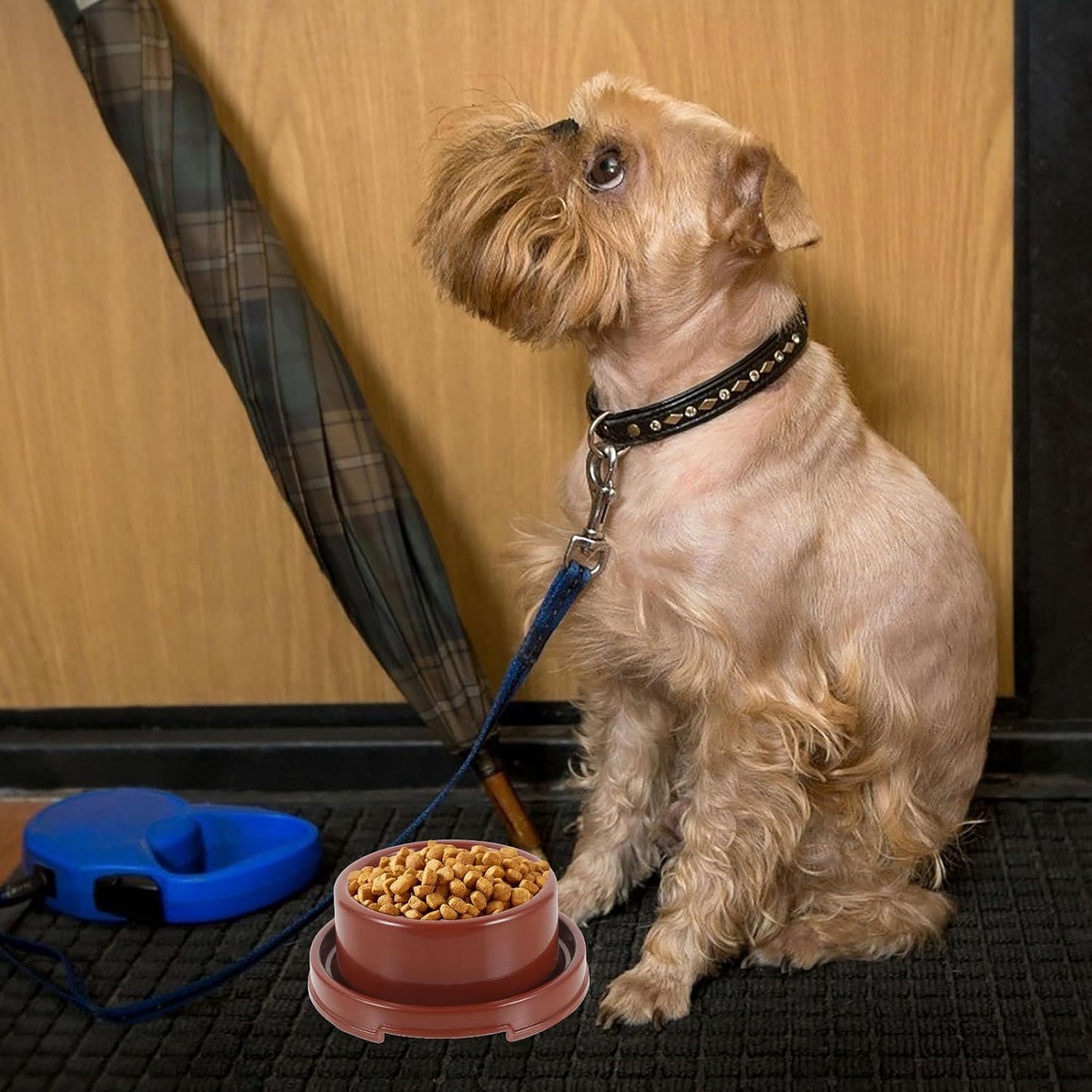 PRETYZOOM Plastic Dog Food Bowl with Design, Small Round Pp Pet Feeder for Puppies and Cats, Brown Single Pet Food Holder Suitable for Indoor Feeding