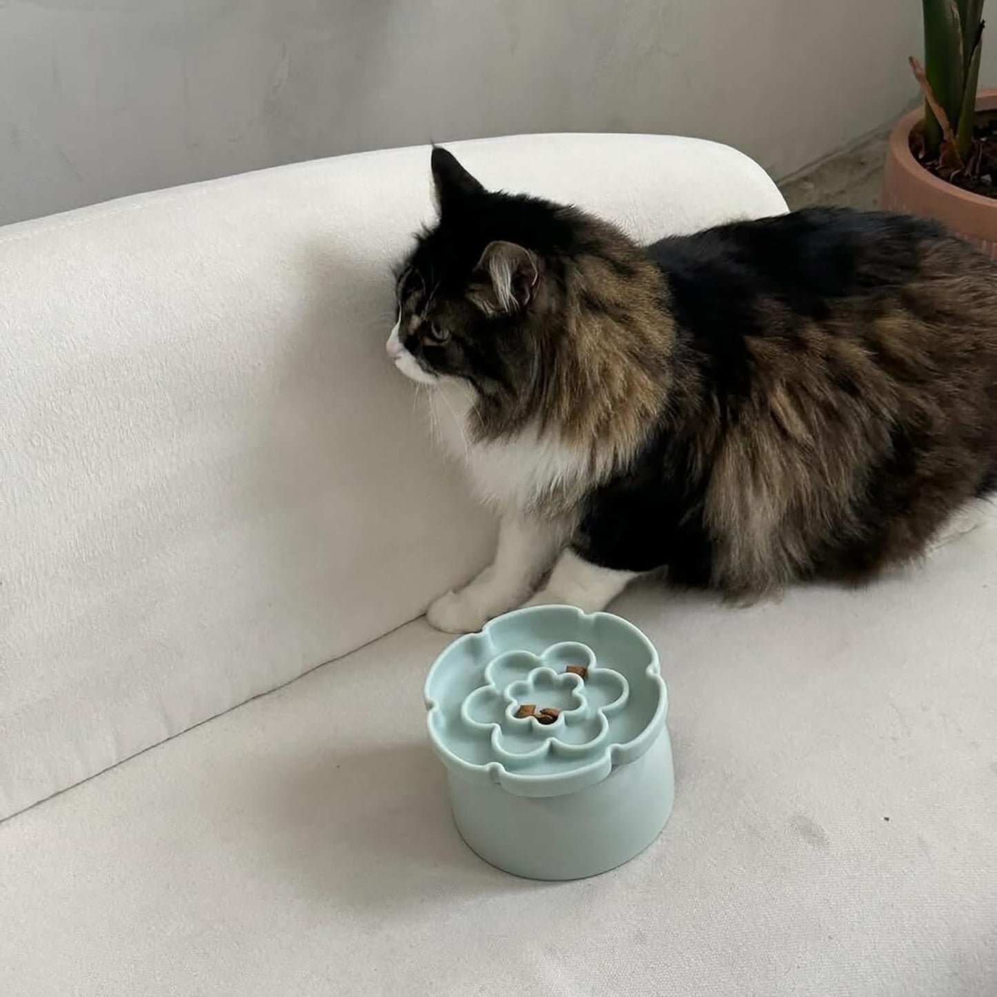 Flower Elevated Slow Feeder - Sage Green - 7.75oz Capacity, Silicone Cat Dish w/Removable Ceramic Stand, Pet Meal Feeding, Water & Food