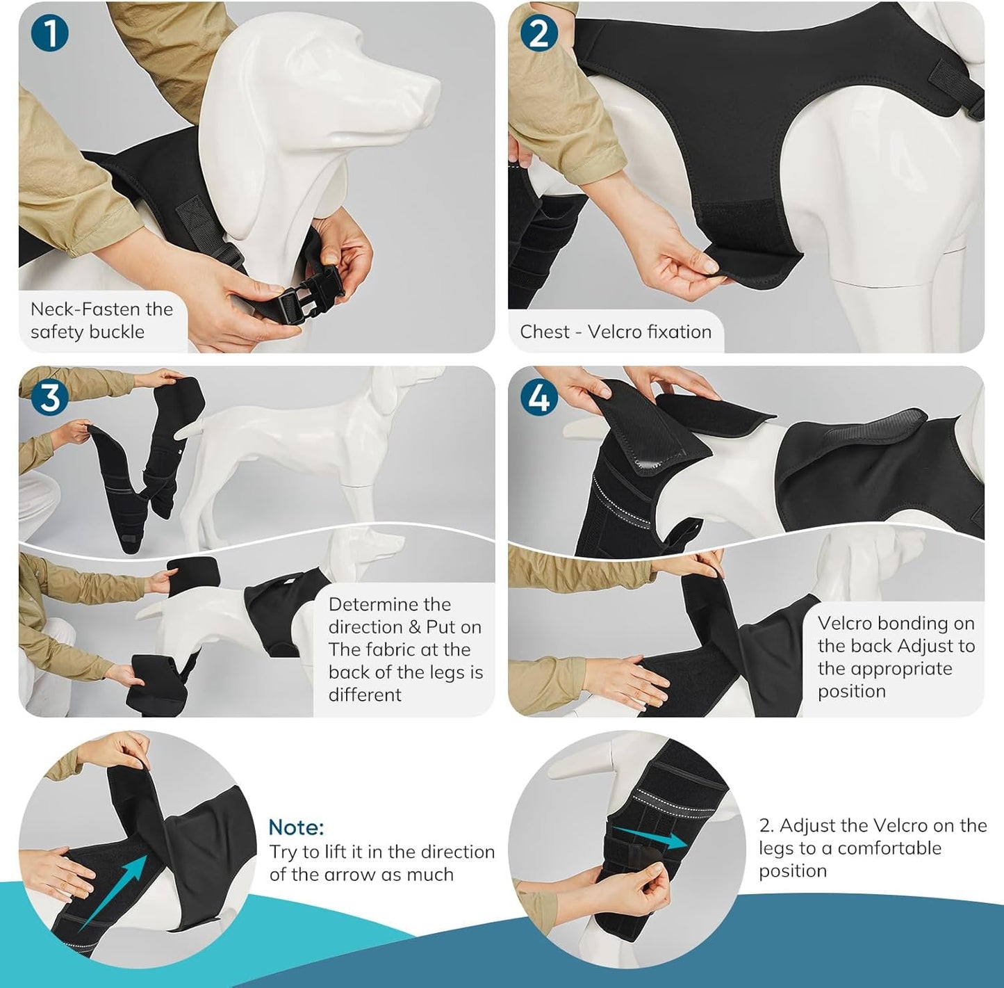Adjustable Dog Knee Brace for ACL Tear and Arthritis Recovery - Dual Hind Legs Support with Harness Connection - Orthopedic Leg Wrap for Joint Stability and Pain Relief in Small to Large Dogs (M)