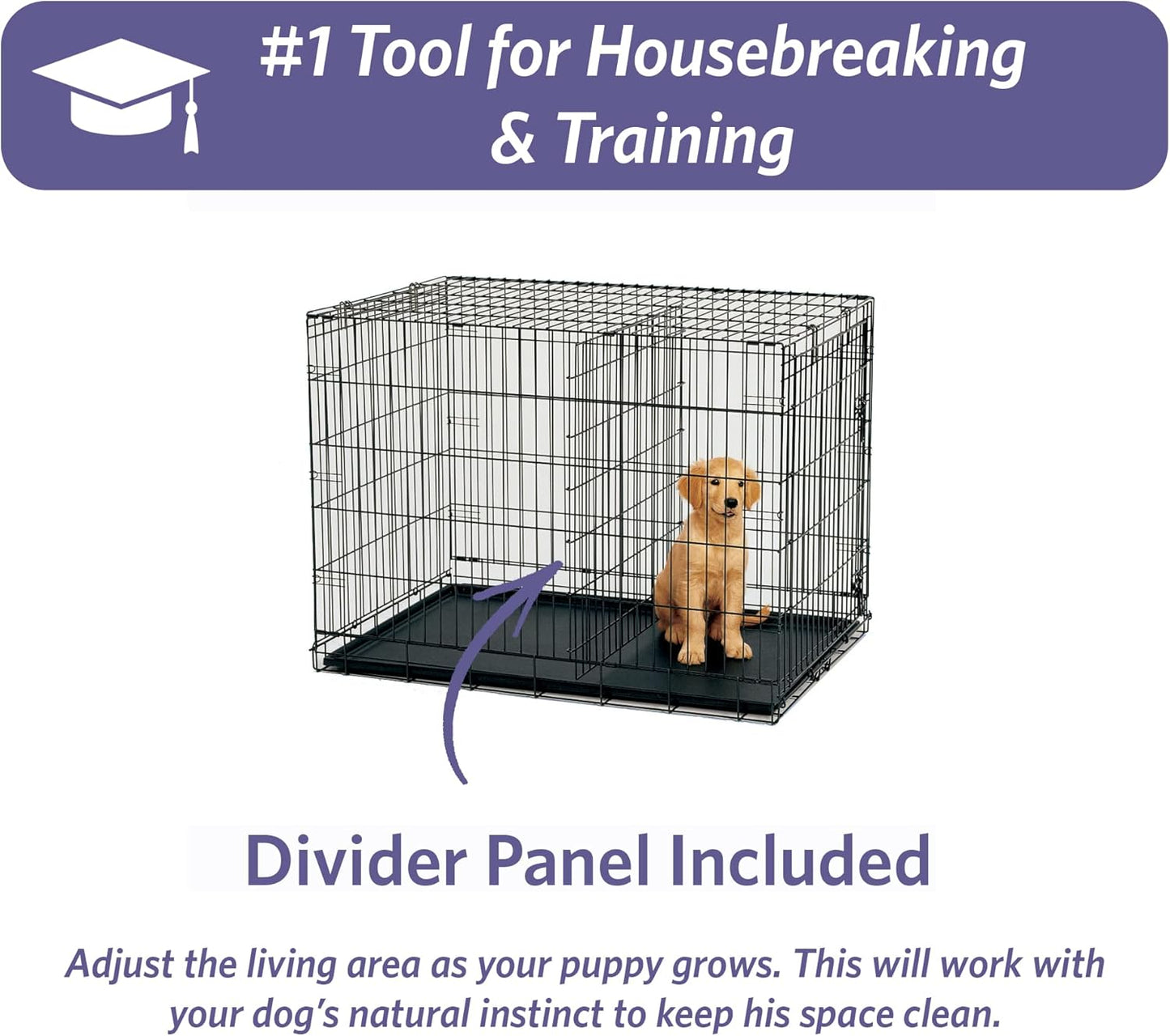 MidWest Homes for Pets 24-Inch iCrate for Small Breeds, 12-20 lbs, Single Door Folding Dog Crate with Divider Panel, Leak-Proof Tray & Secure Latch, Portable, Durable & Easy to Assemble
