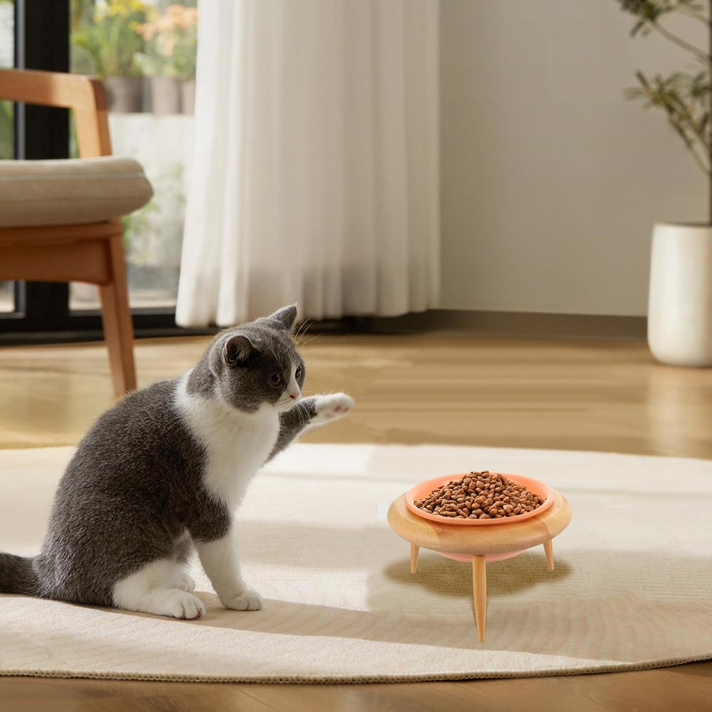 PRETYZOOM Ceramic Elevated Cat Bowl with Oak Wood Stand 600ml Pet Food and Drinking Bowl Neck Protection for Cats and Canines Indoor Feeding