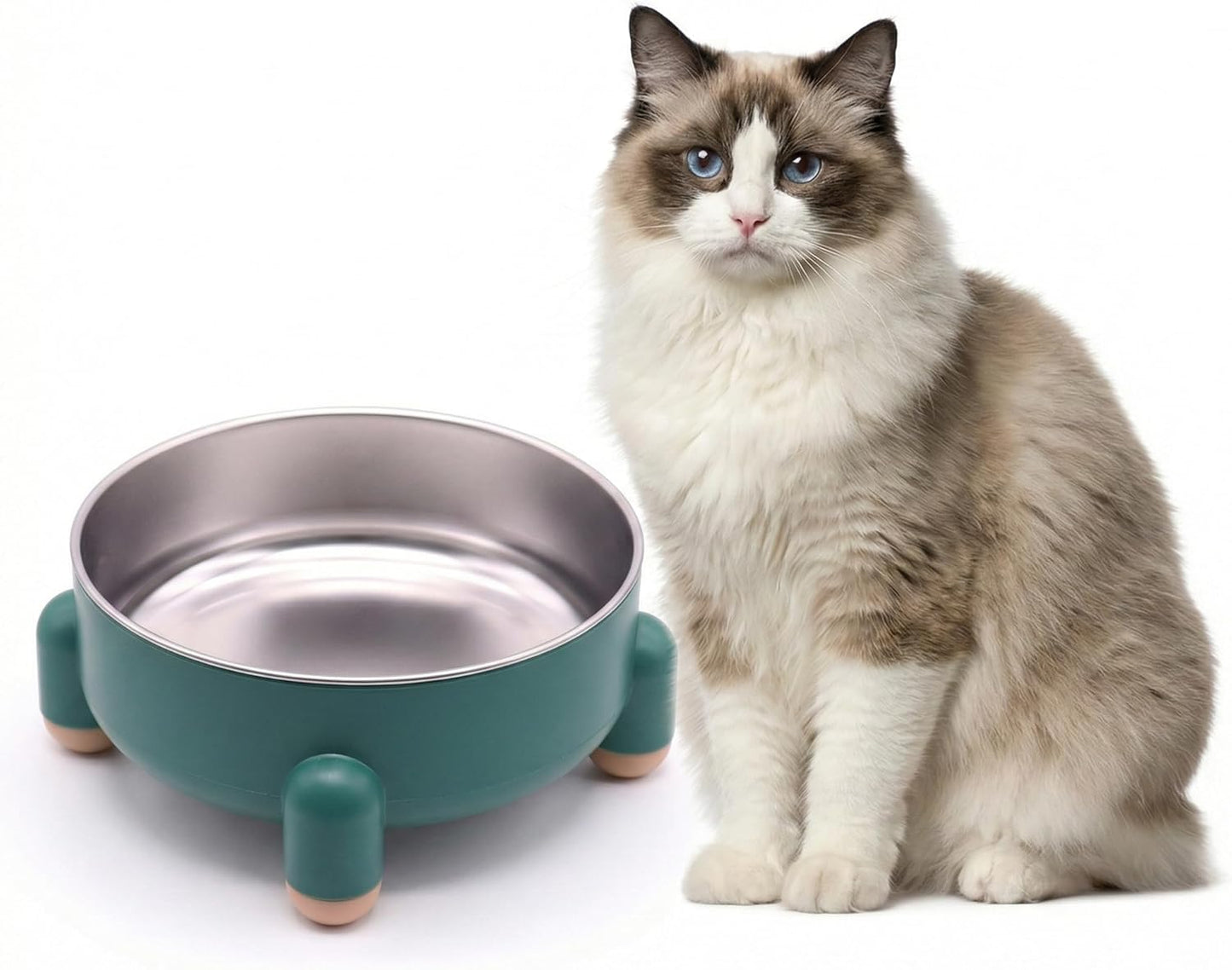 Raised Cat Food Bowl, Anti Vomiting Elevated Cat Bowl Stainless Steel, Whisker Friendly Shallow Wide Dish, 3 Cups (24 oz) Non-Slip Dishwasher Safe for Indoor Cats (Green, 1-Pack)