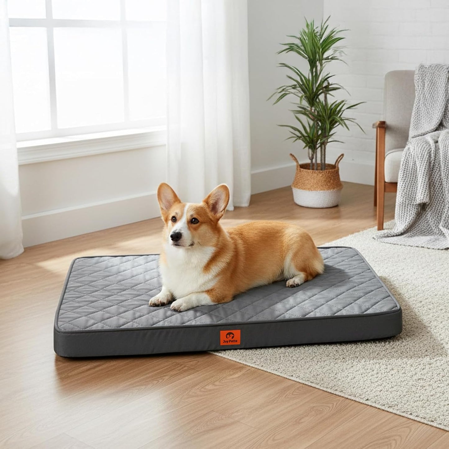 Dog Bed for Small and Medium Size Dogs - Orthopedic Egg Crate Foam Pet Bed with Waterproof & Machine Washable & Non-Slip Bottom, Ideal for Crate and Indoor Use, 30x20 Inch, up to 30 lbs, Dark Grey