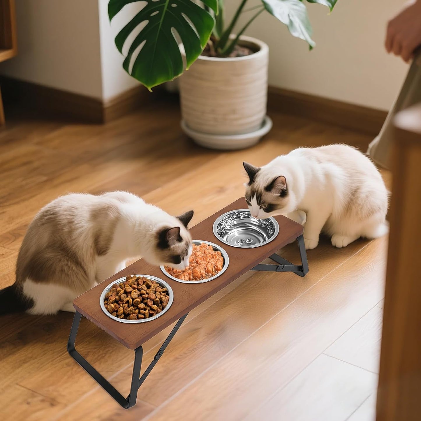 Elevated Cat Bowls, 10° Tilted Stand Anti Vomiting Raise Cat Bowl for Food and Water, 3 Stainless Steel Bowls for Indoor Cats, Kitten and Puppy