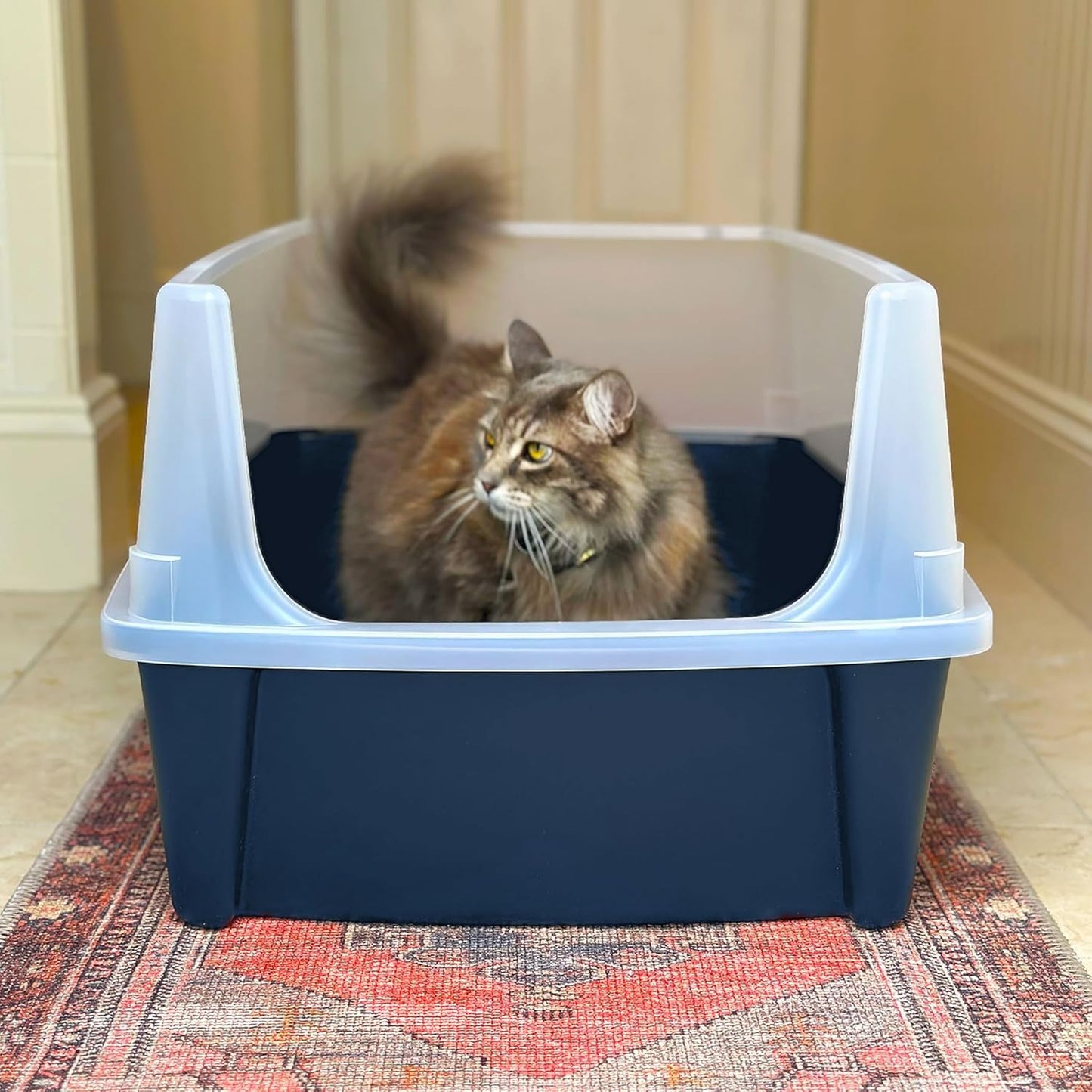 IRIS USA Cat Water Fountain 44oz with Two Flow Options & Silent Operation + Extra Large Open Top Cat Litter Box with High Sided Scatter Shield, Easy to Clean, Navy—Perfect for Big Cats!