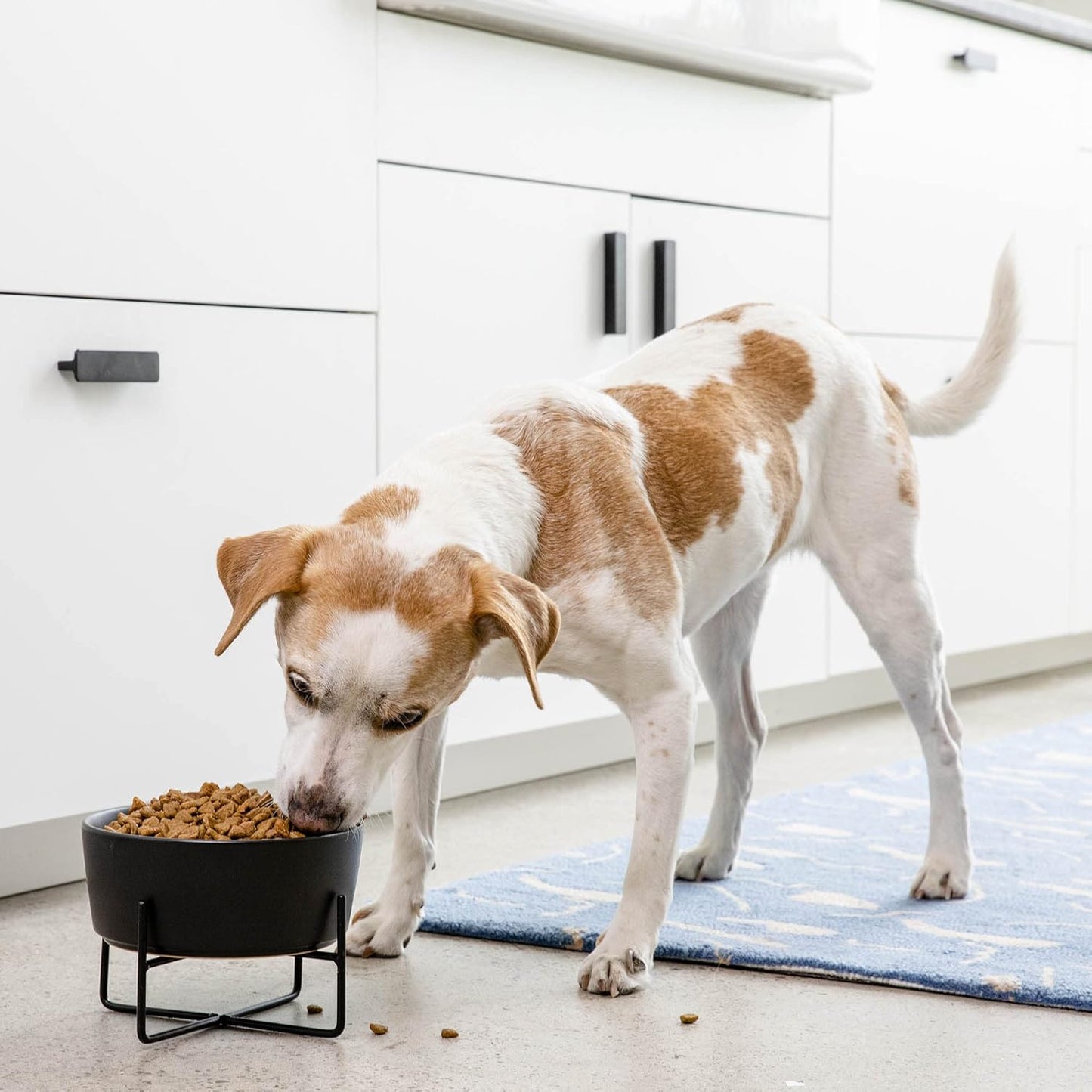 Waggo Simple Solid Dog Bowl with Iron Stand – Elevated Ceramic Feeder or Water Bowl for Small or Large Dogs (Large, Matte White)