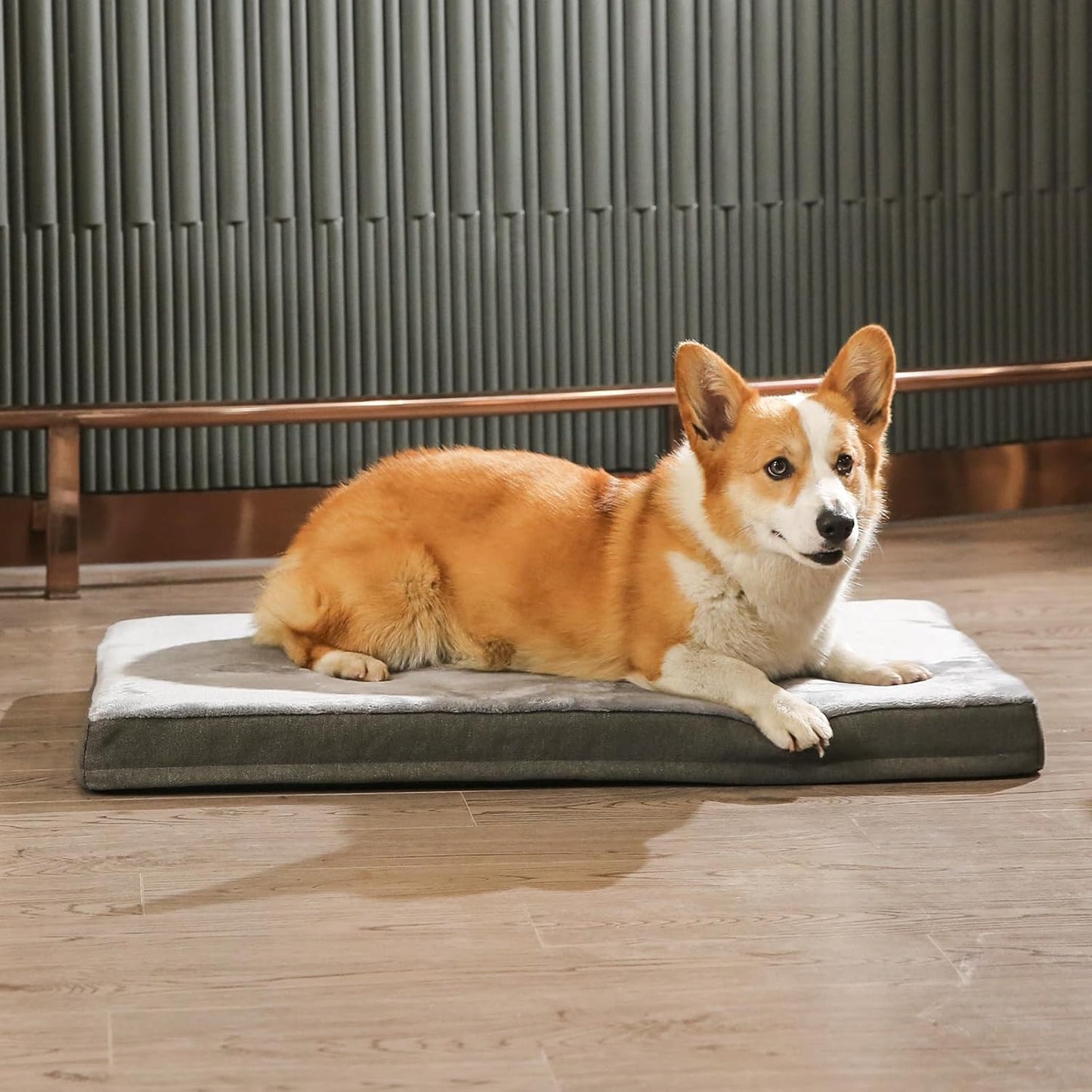 Amazon Basics Dog Bed with Cooling Gel Memory Foam, Machine Washable Removable Cover, Anti-Slip Bottom, Pressure-Relief Support for Dogs up to 90lbs, Extra Large (41" x 29"), Grey