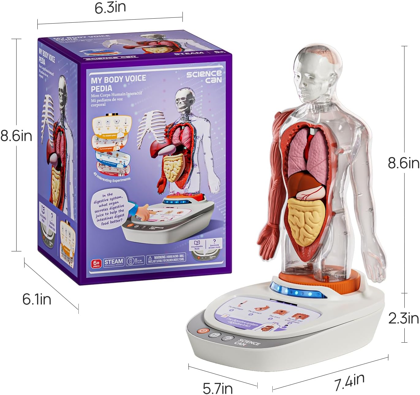 Science Can Human Body Model for Kids, Interactive Human Anatomy Talking Model - 11 Inch Realistic Anatomical Assembly Kit, 15PCS Removable Parts & Guide, Educational STEM Toys Gifts for Kids Aged 6+