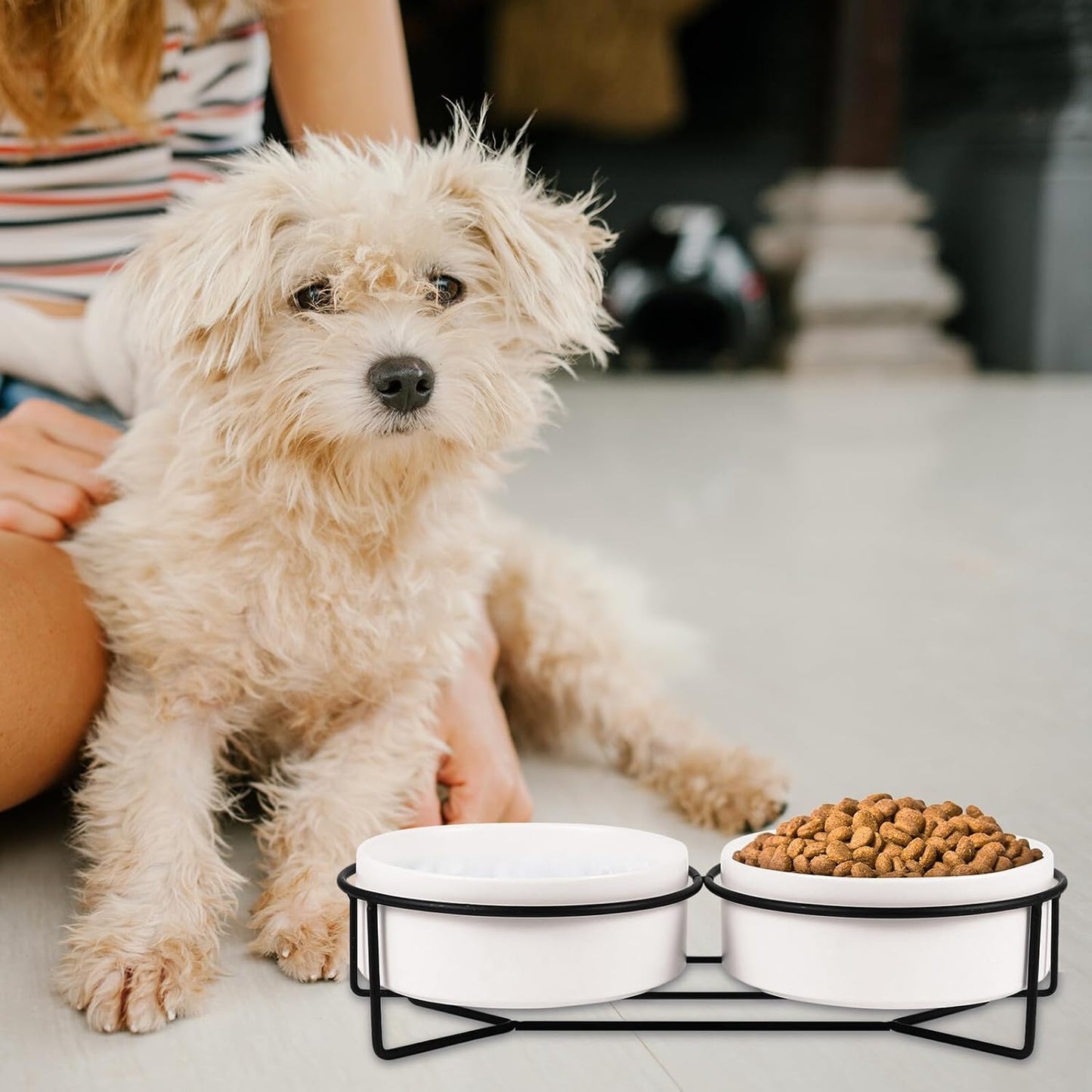 Milisten Double Ceramic Pet Feeding Bowls with Raised Iron Stand 13cm, Spill-Resistant Cat and Dog Food Water Bowls for Home Use